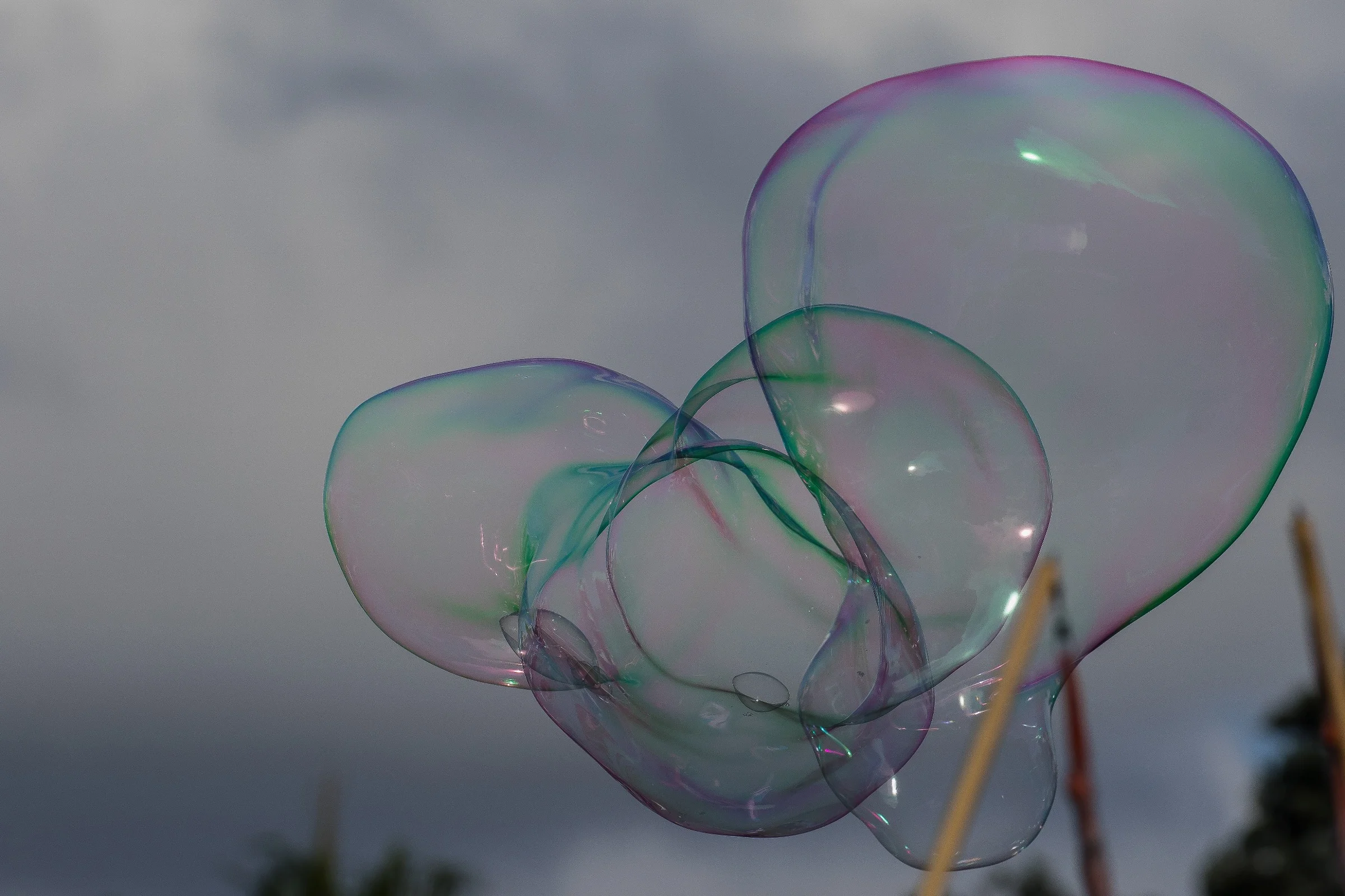 Bubbles,-041.JPG