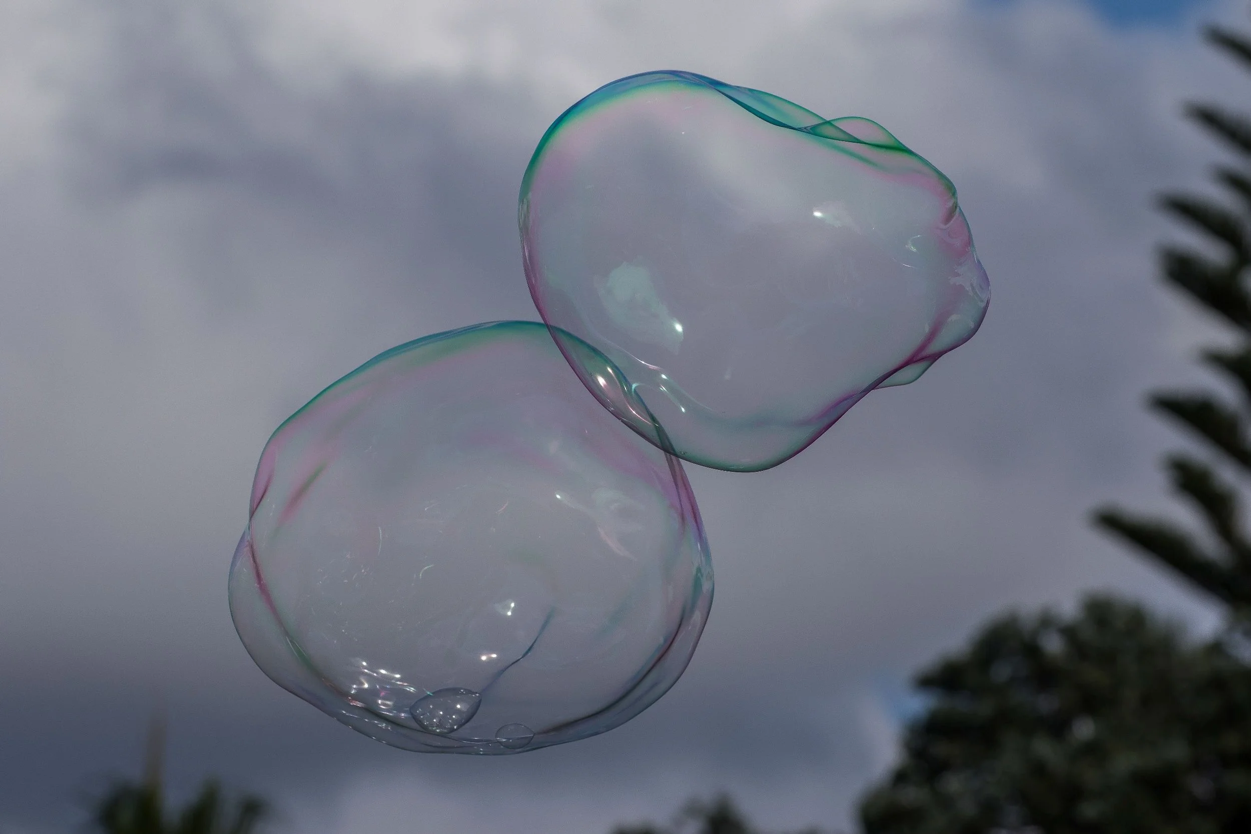 Bubbles,-042.JPG