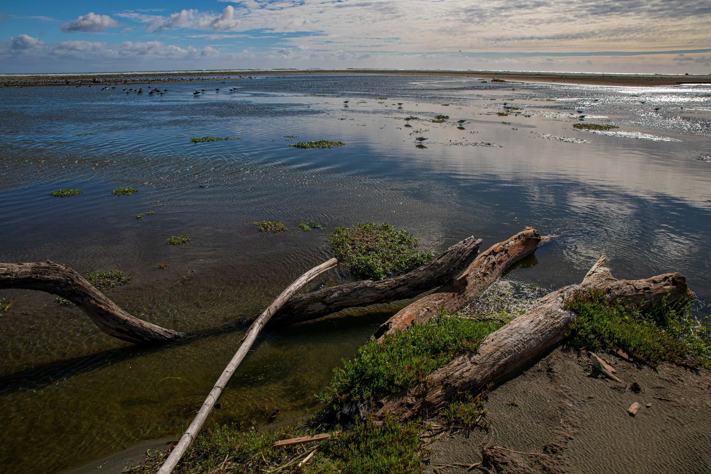 Hokio Beach & Lagoon,-1270.JPG
