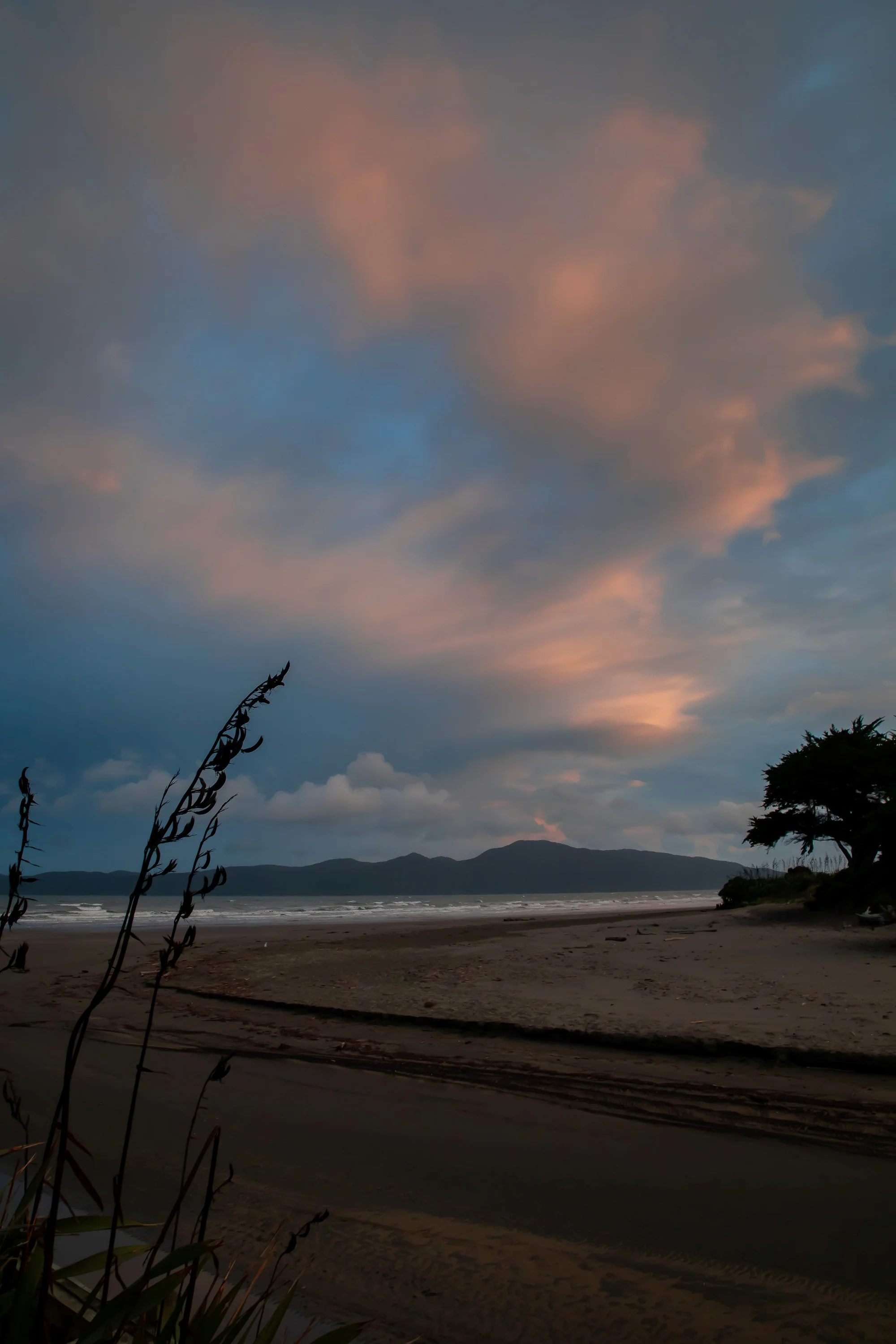Raumati Beach,Kapiti Is,-723.JPG