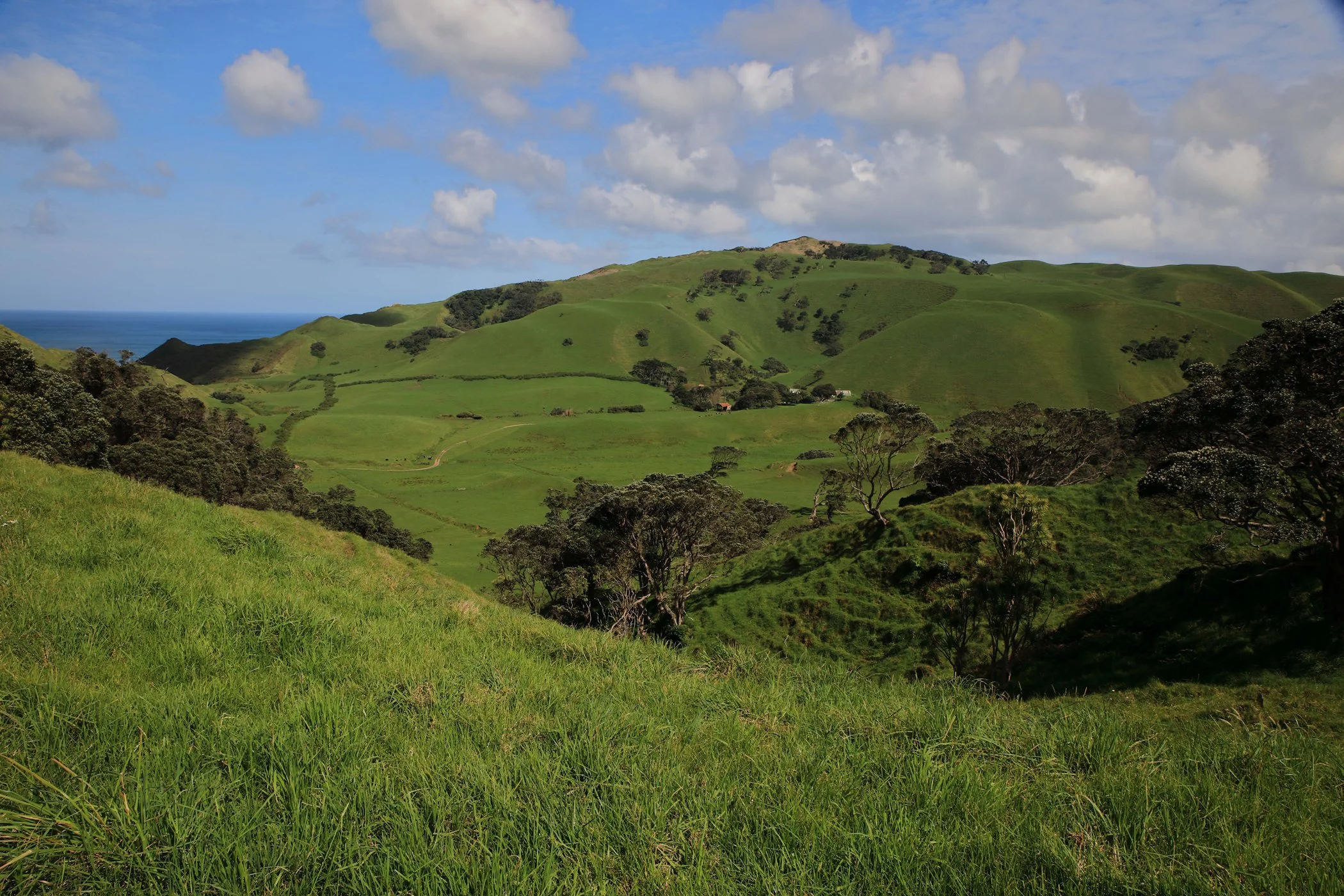 Awhitu Peninsula,-817.JPG