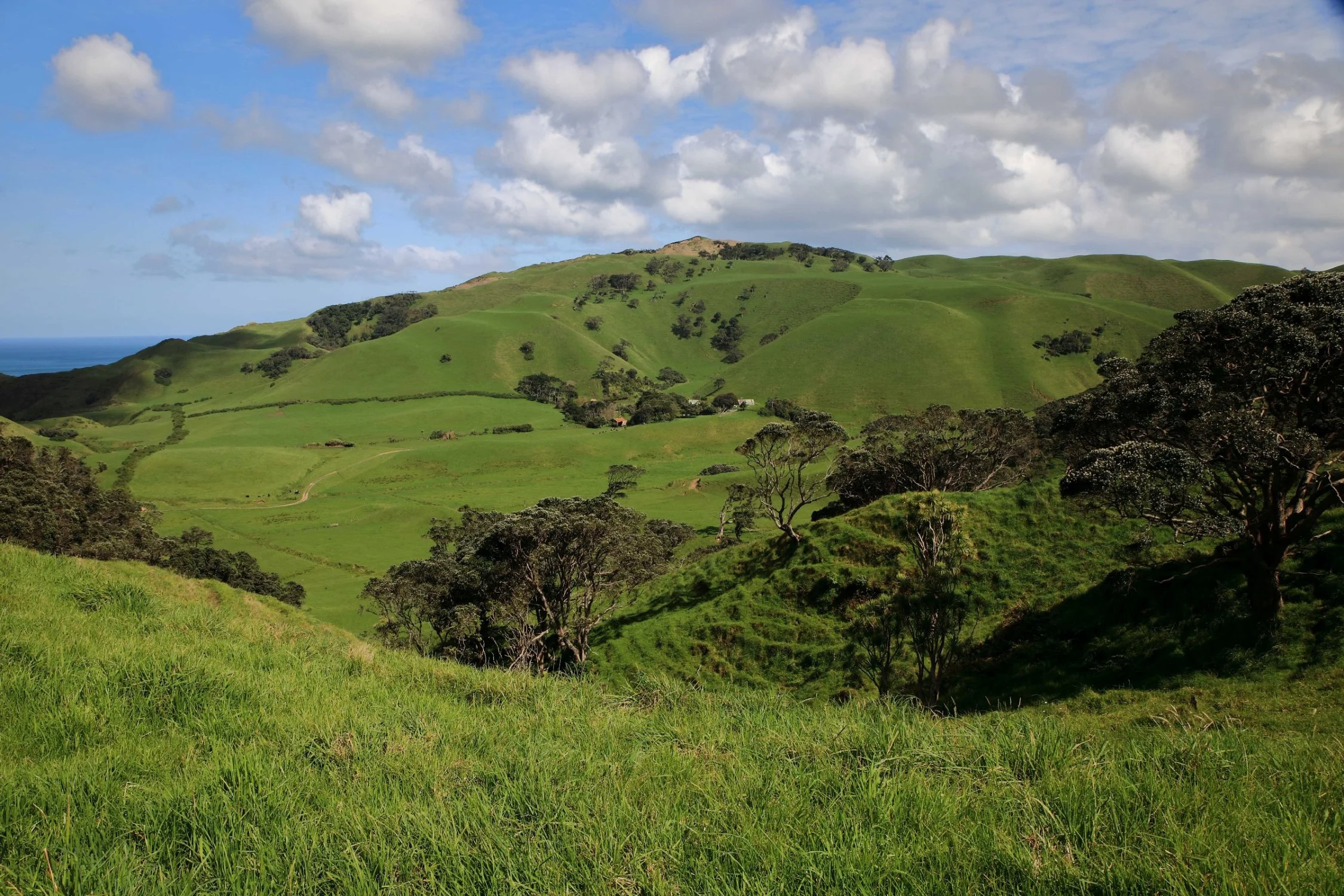 Awhitu Peninsula,-816.JPG