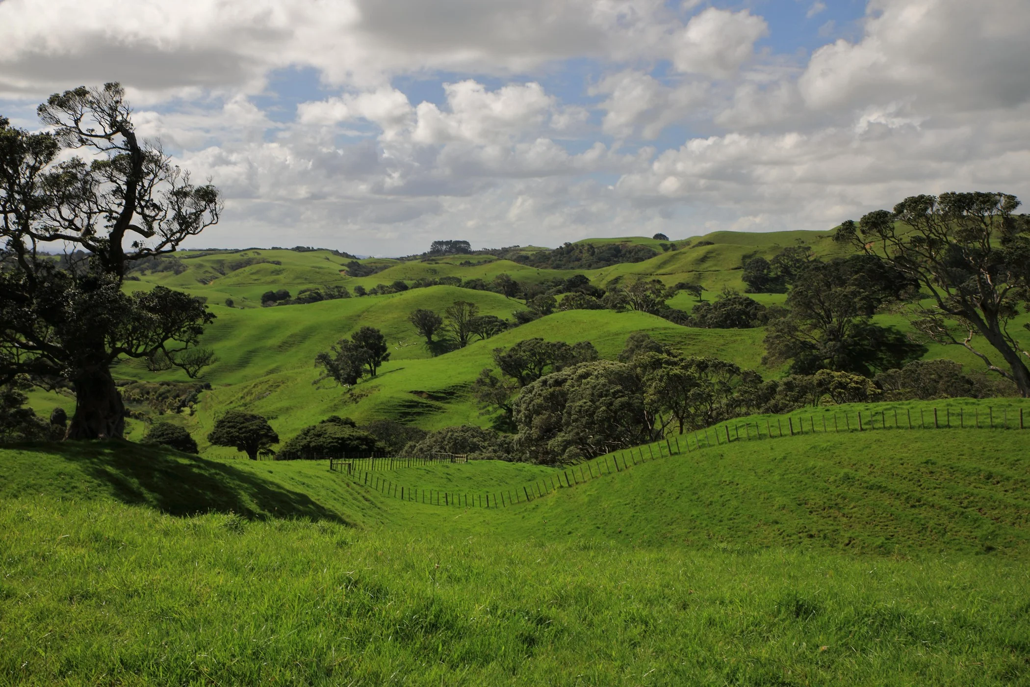 Awhitu Peninsula,-818.JPG