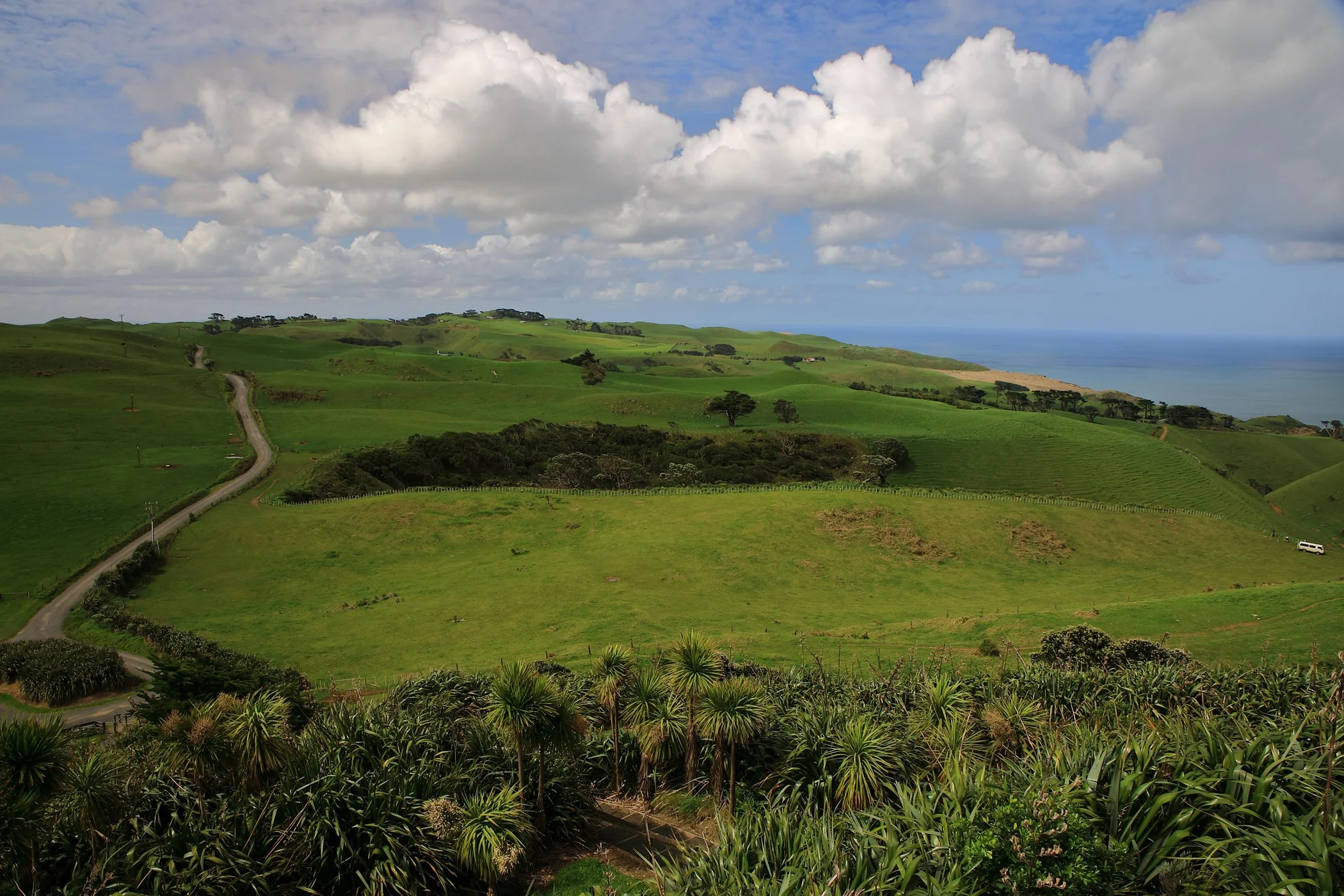 Awhitu Peninsula,-825.JPG