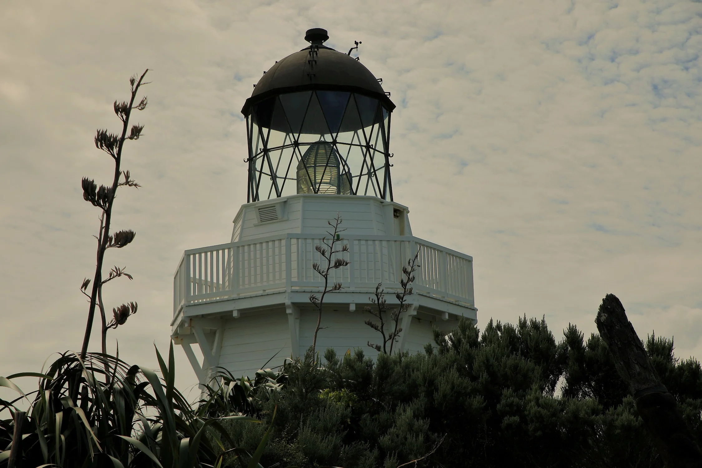 Awhitu Peninsula,South Head Manukau Lighthouse,-829.JPG