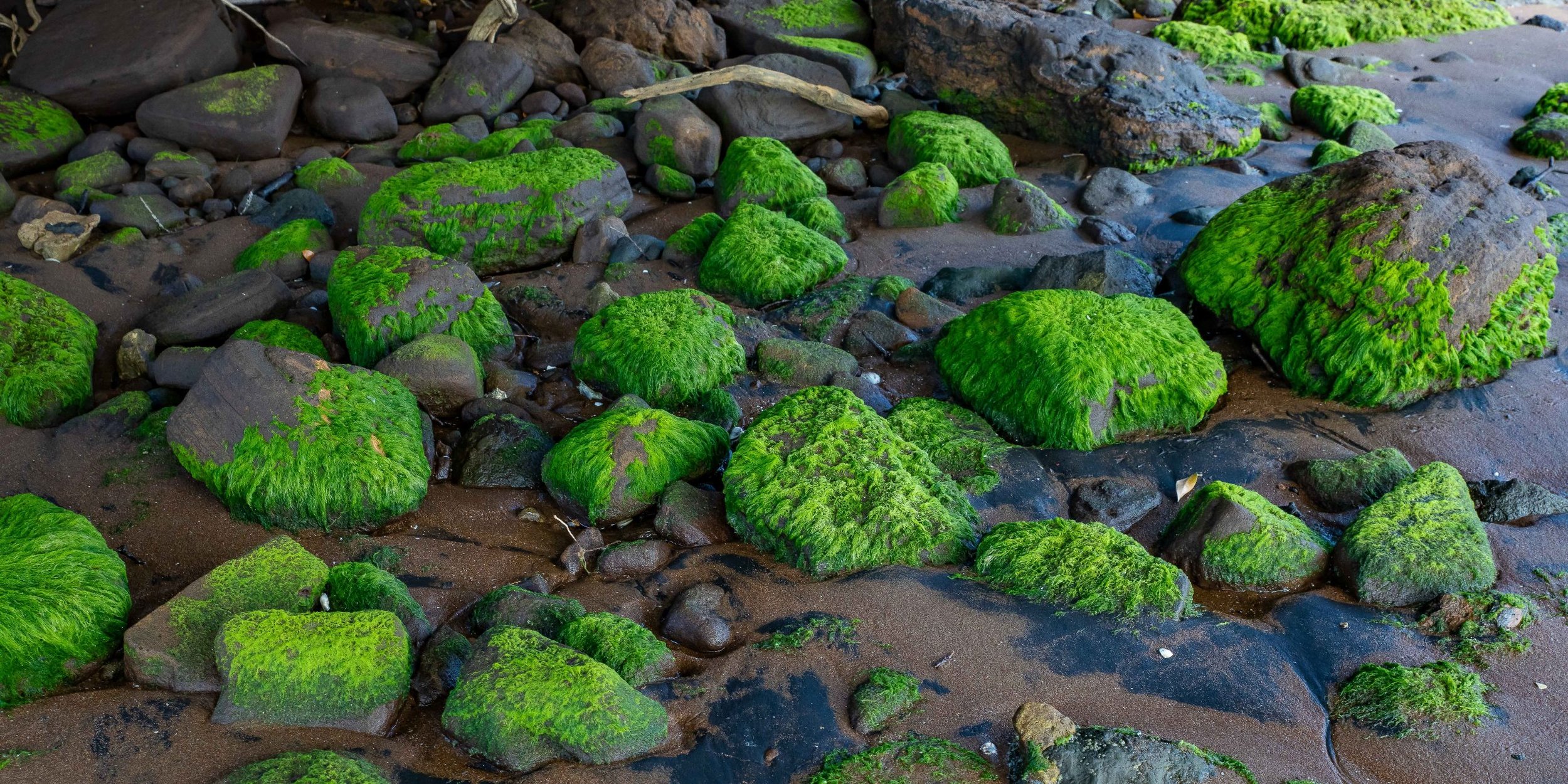 Cornwallis Wharf,-008.JPG