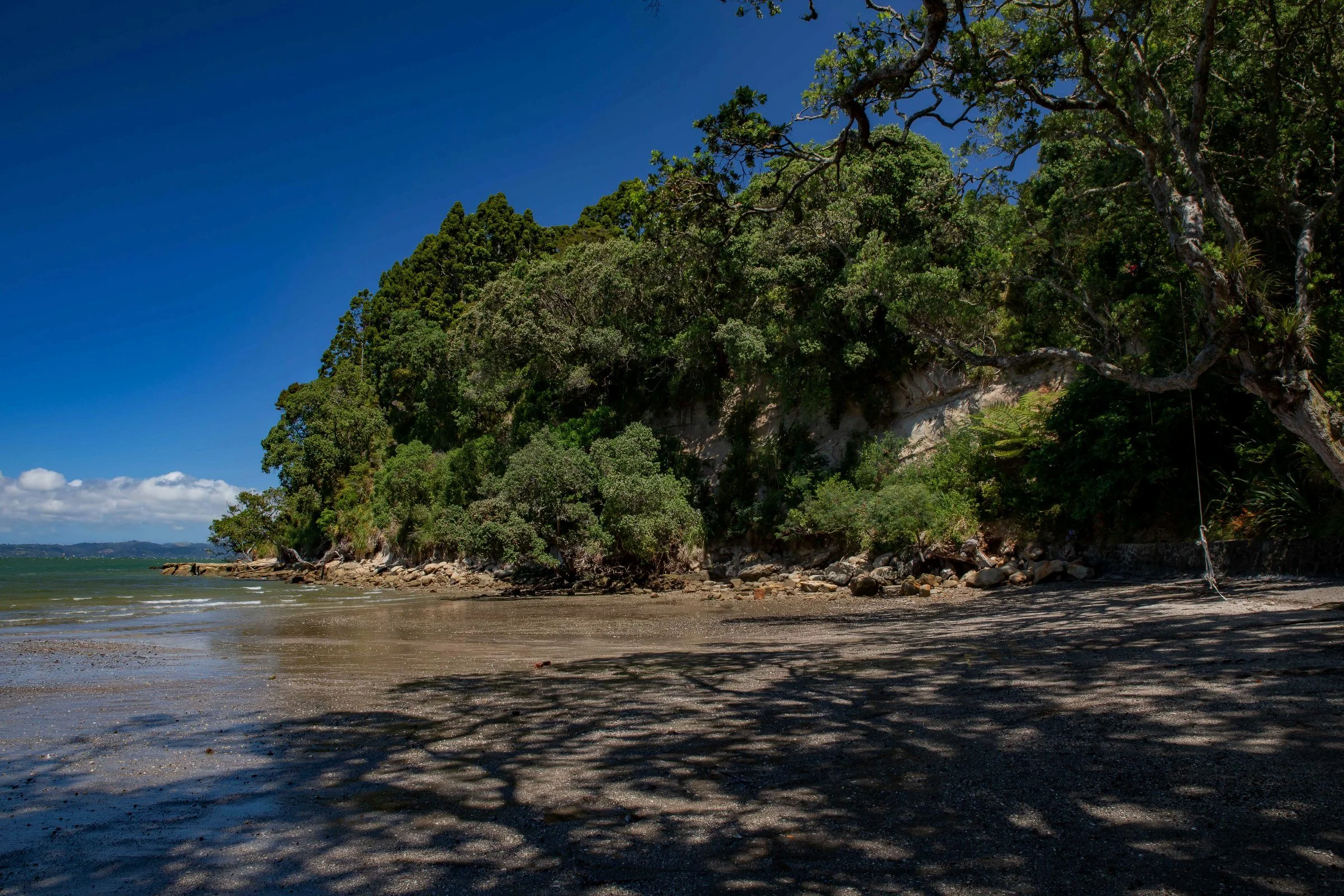 Jenkins Bay,Titirangi,-588.JPG