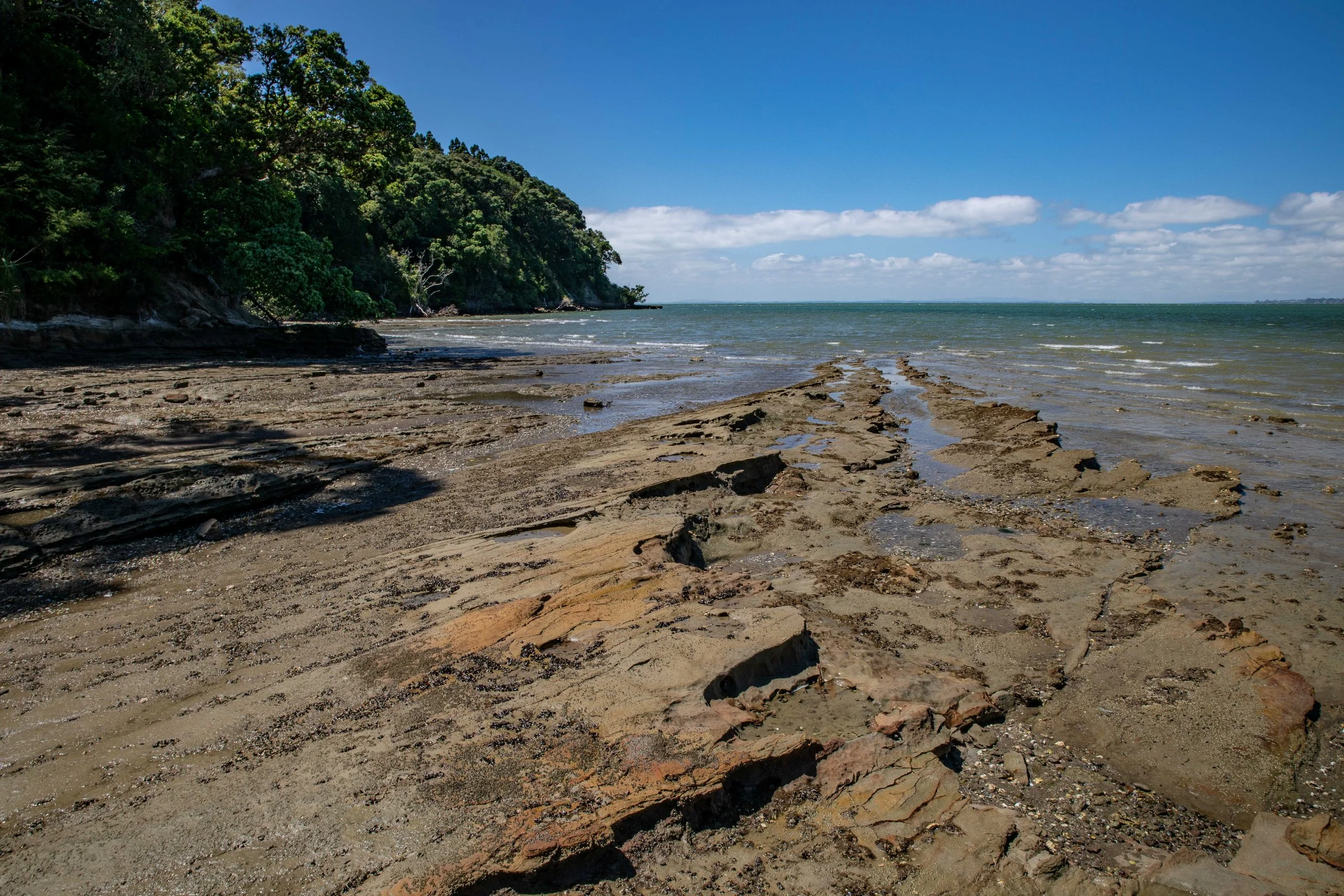 Titirangi Beach,Titirangi,-579.JPG