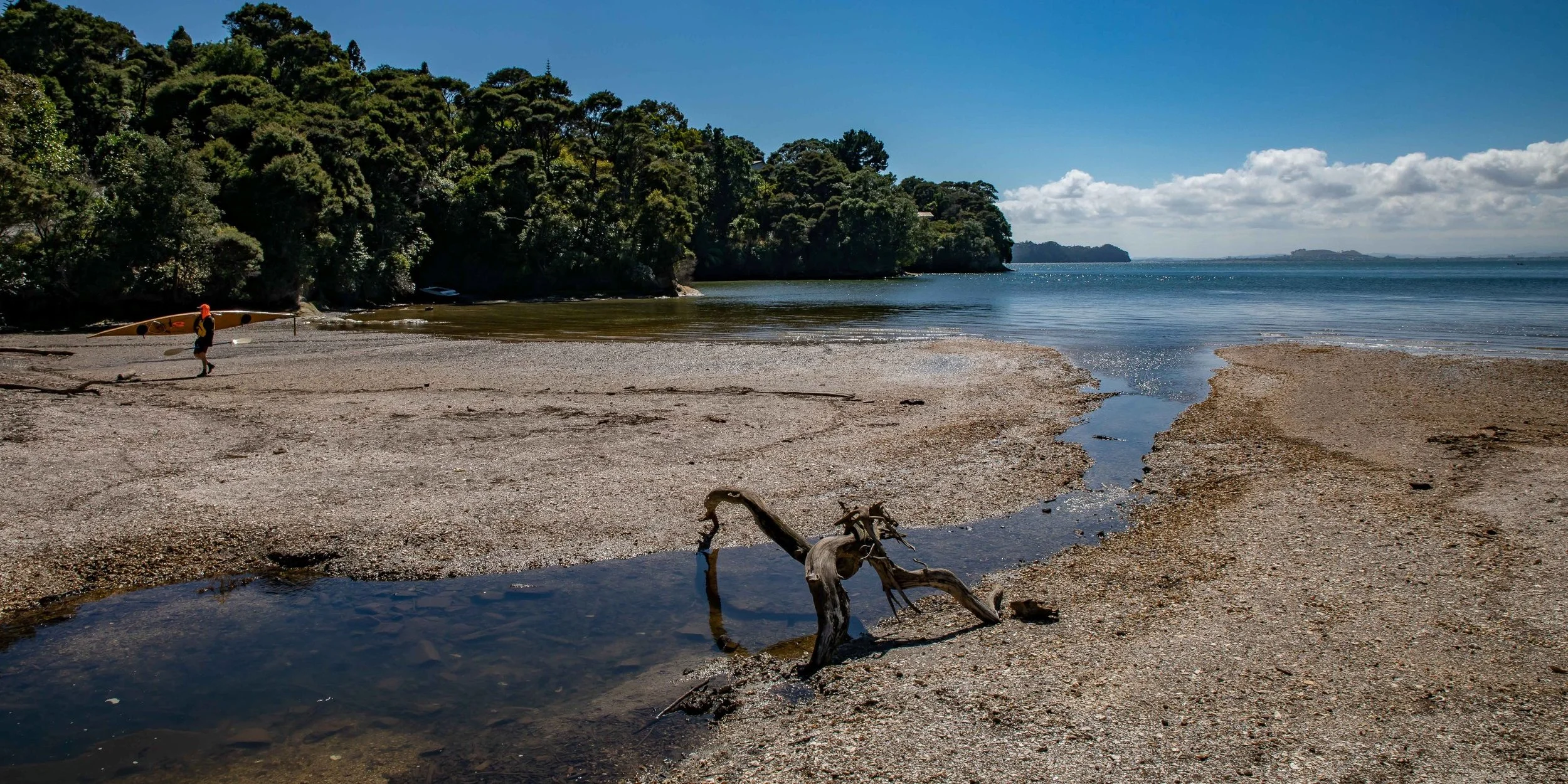 Wood Bay,Titirangi,-550.JPG