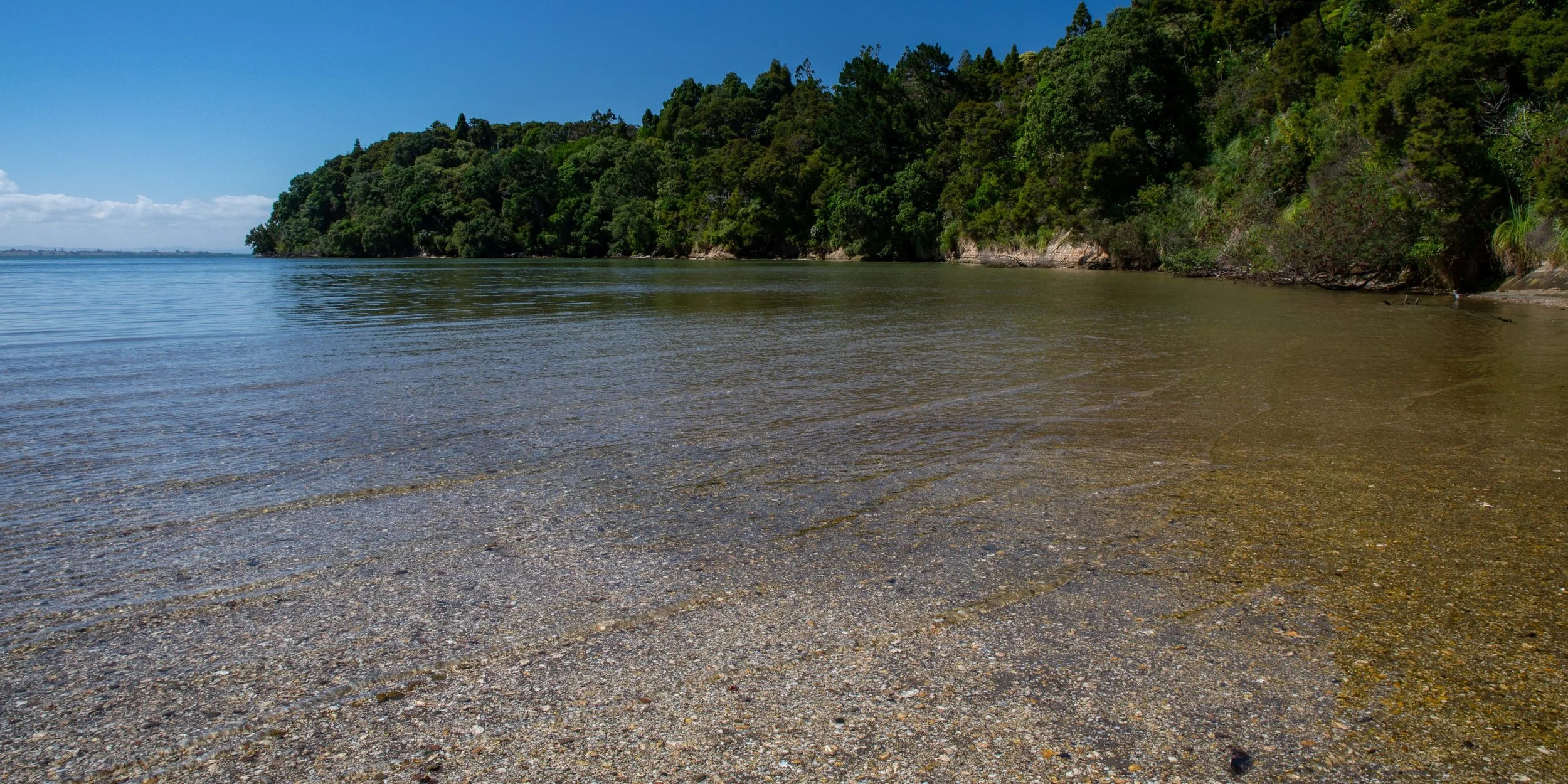 Wood Bay,Titirangi,-553.JPG