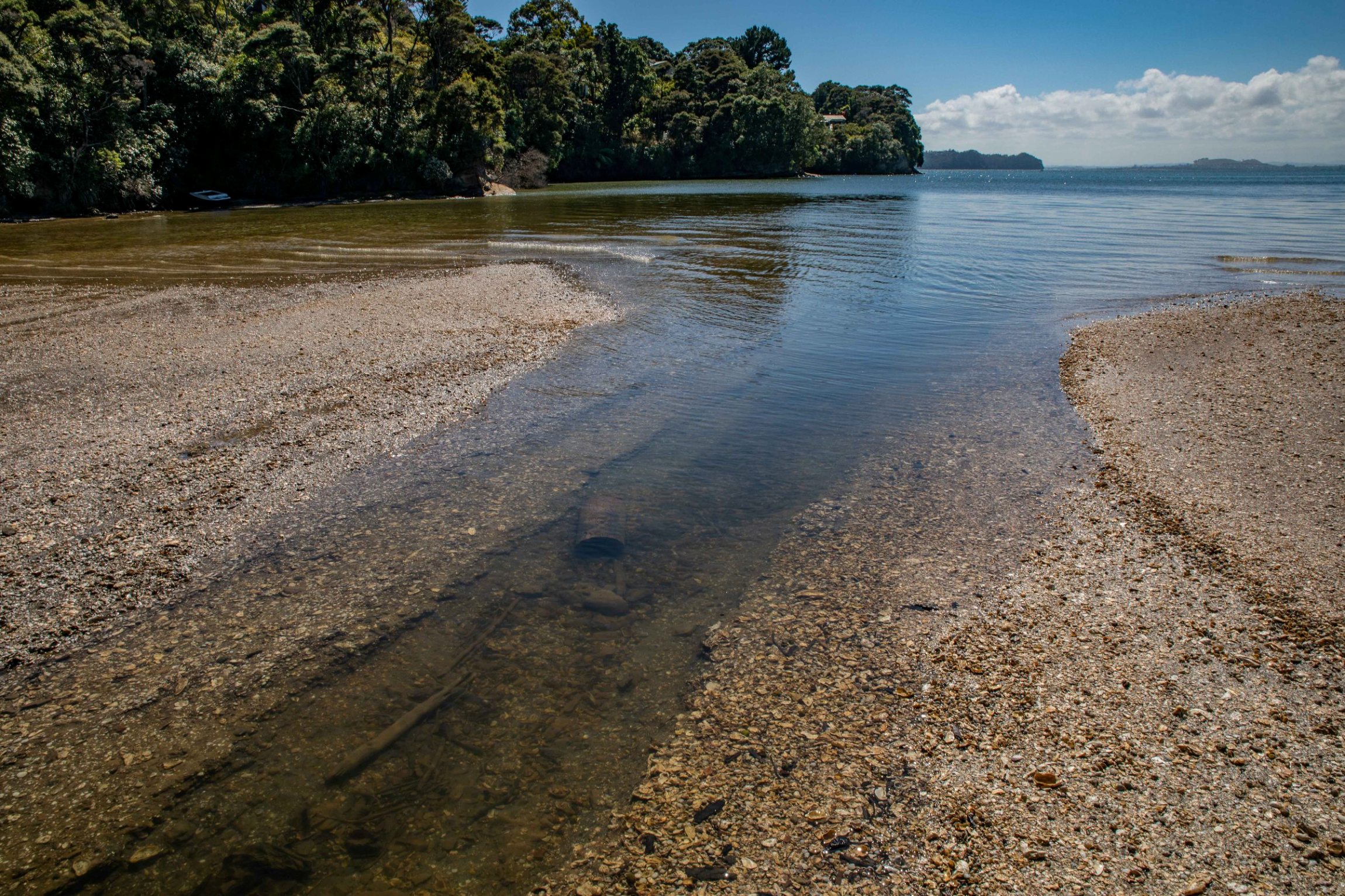 Wood Bay,Titirangi,-554.JPG