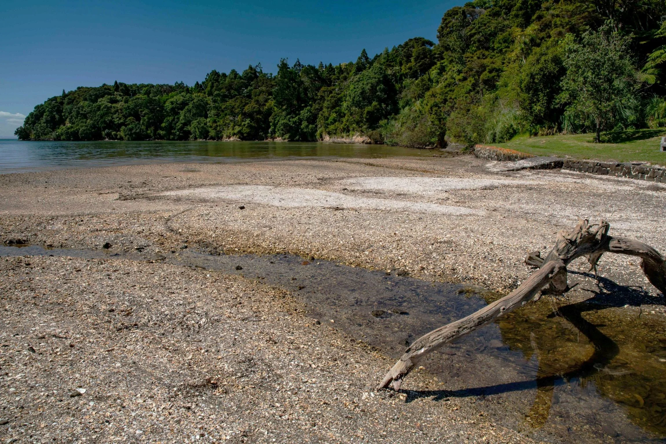 Wood Bay,Titirangi,-555.JPG