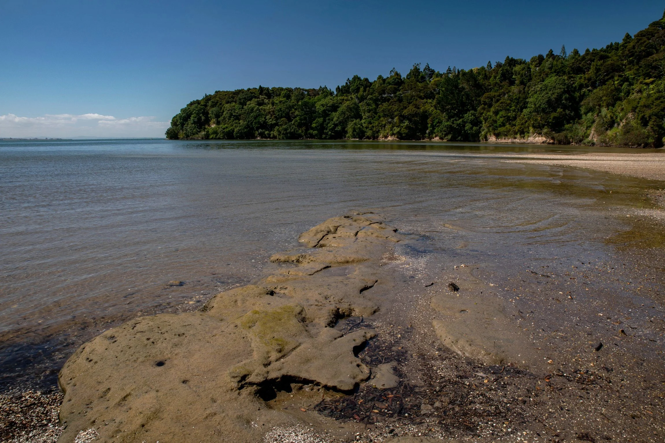 Wood Bay,Titirangi,-556.JPG