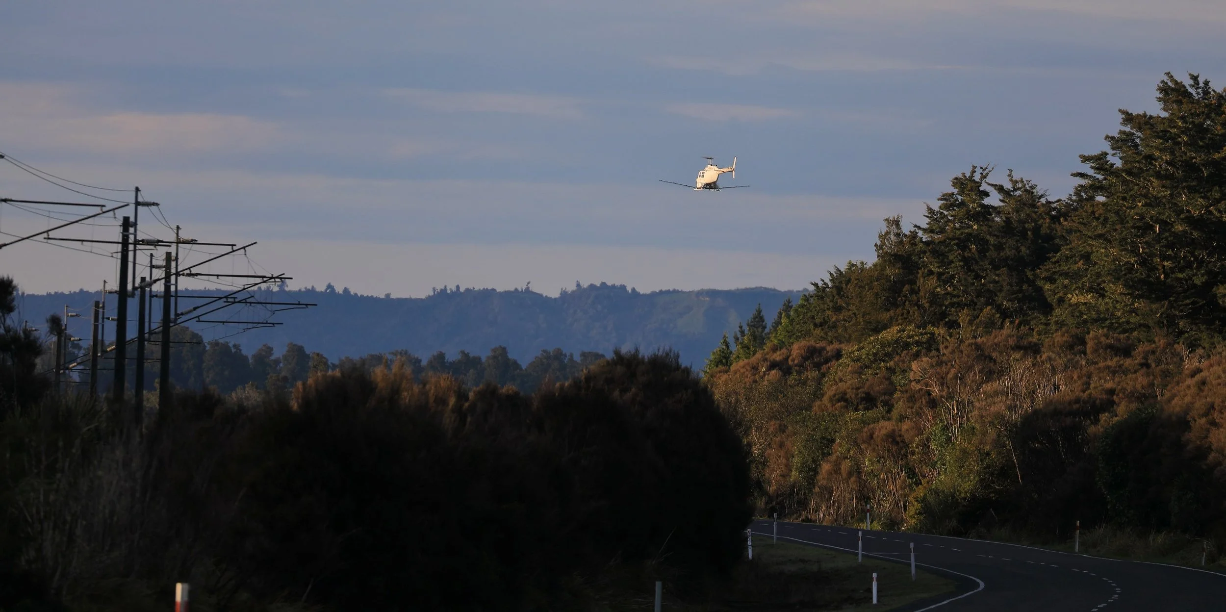 Crop duster,,Horopito,-465.JPG