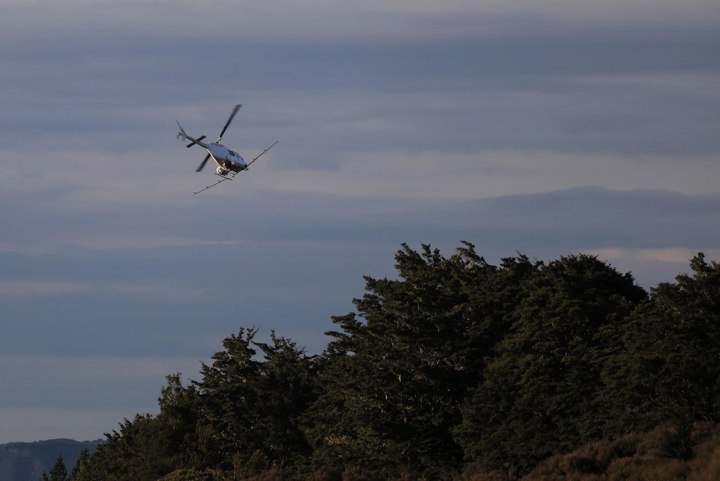 Crop duster,,Horopito,-464.JPG