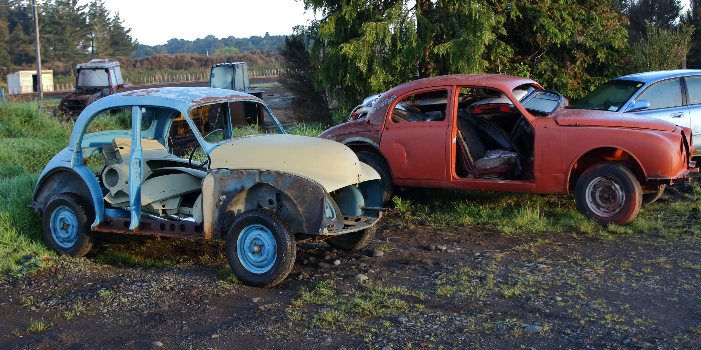 Horopito,Smash Palace,-274.JPG