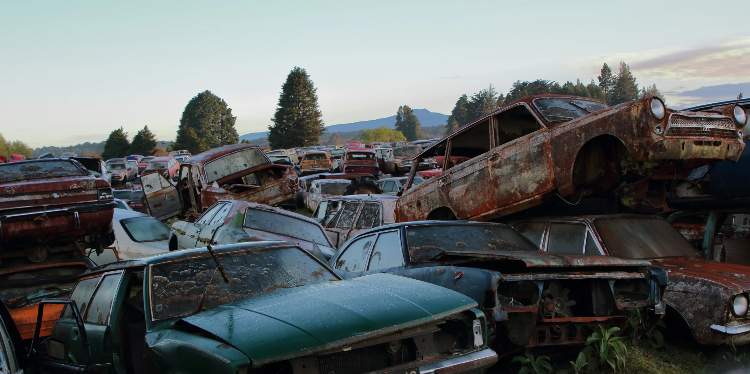 Horopito,Smash Palace,-276.JPG