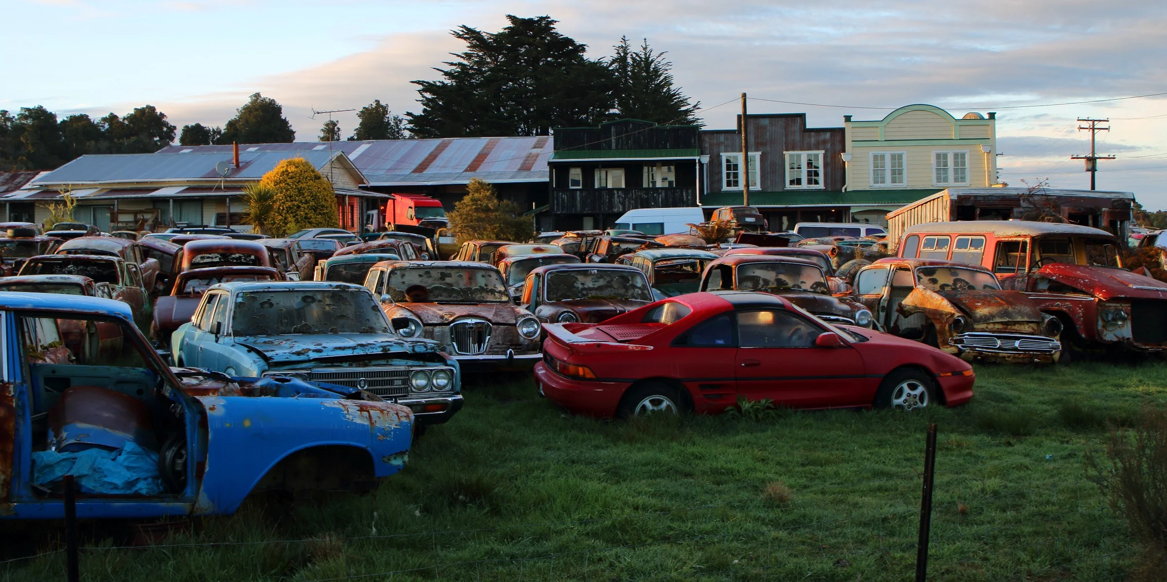 Horopito,Smash Palace,-278.JPG