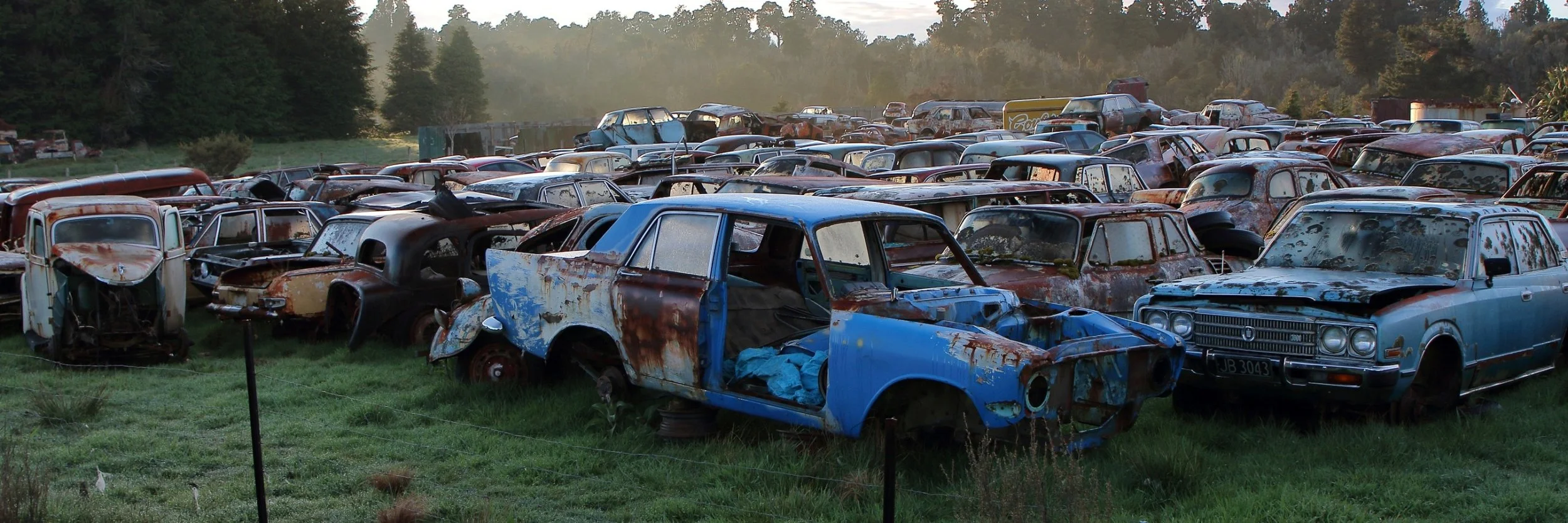 Horopito,Smash Palace,-277.JPG