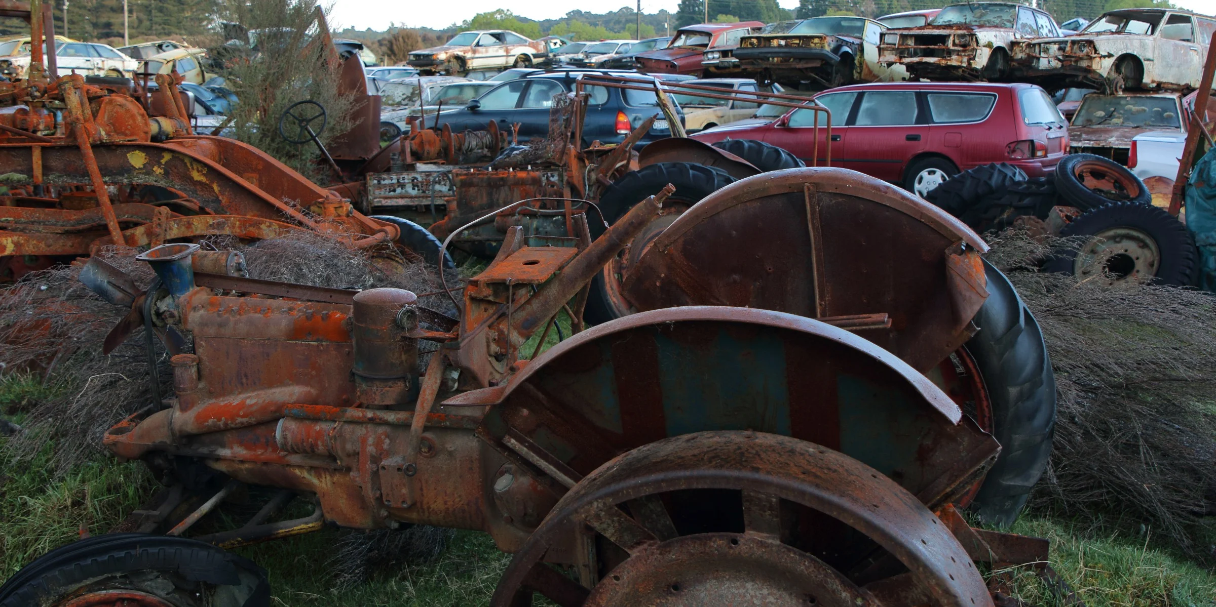 Horopito,Smash Palace,-279.JPG