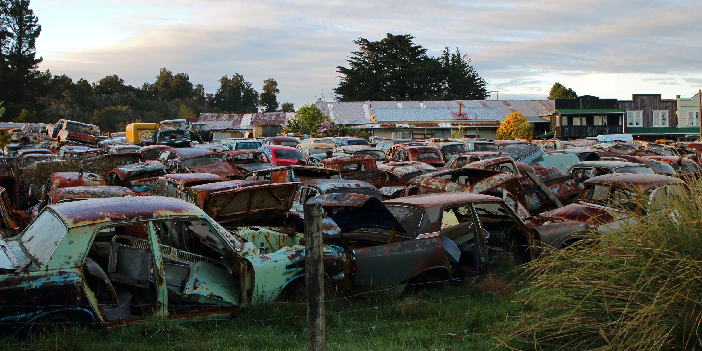 Horopito,Smash Palace,-280.JPG