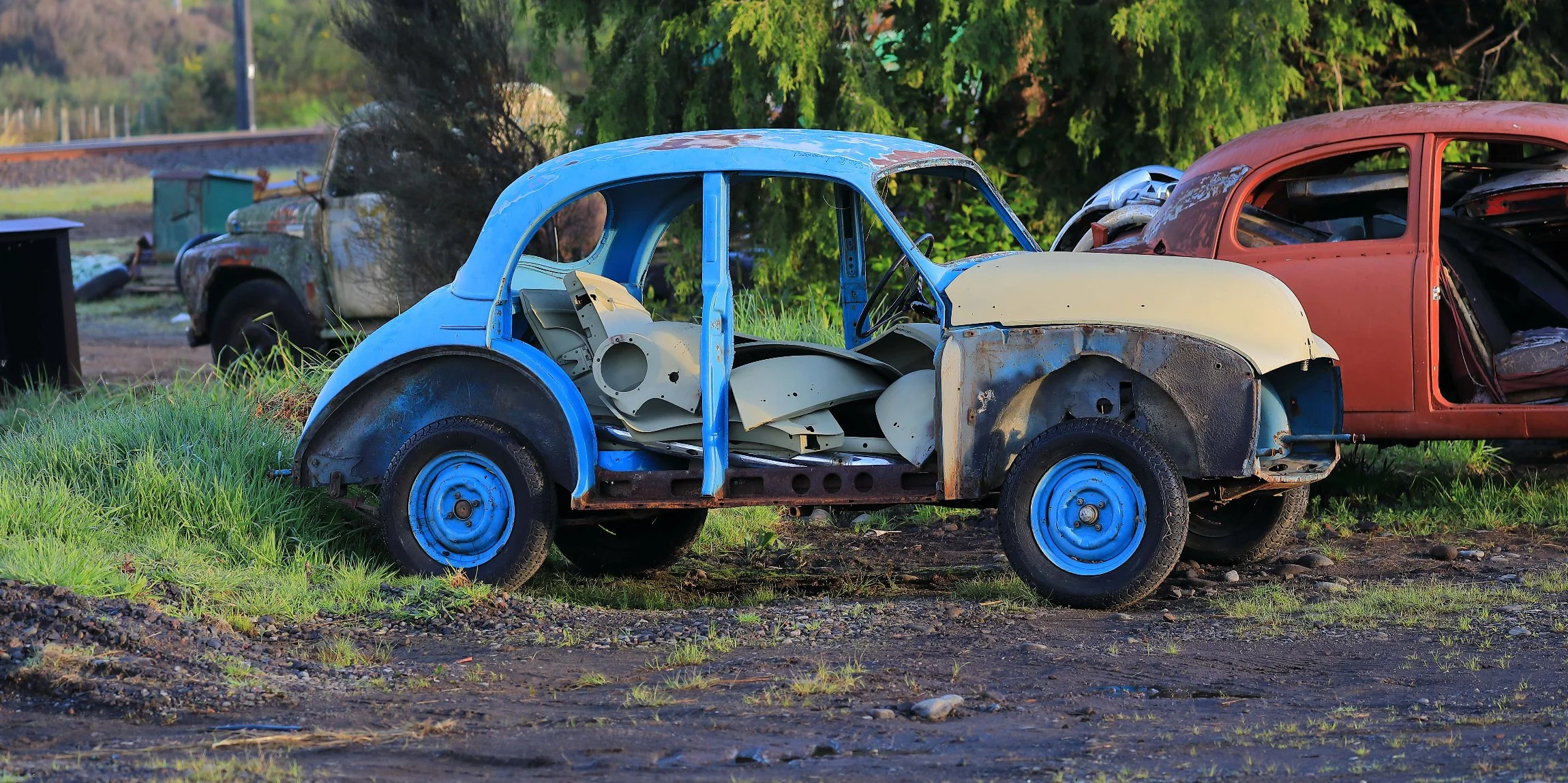 Horopito,Smash Palace,-723.JPG