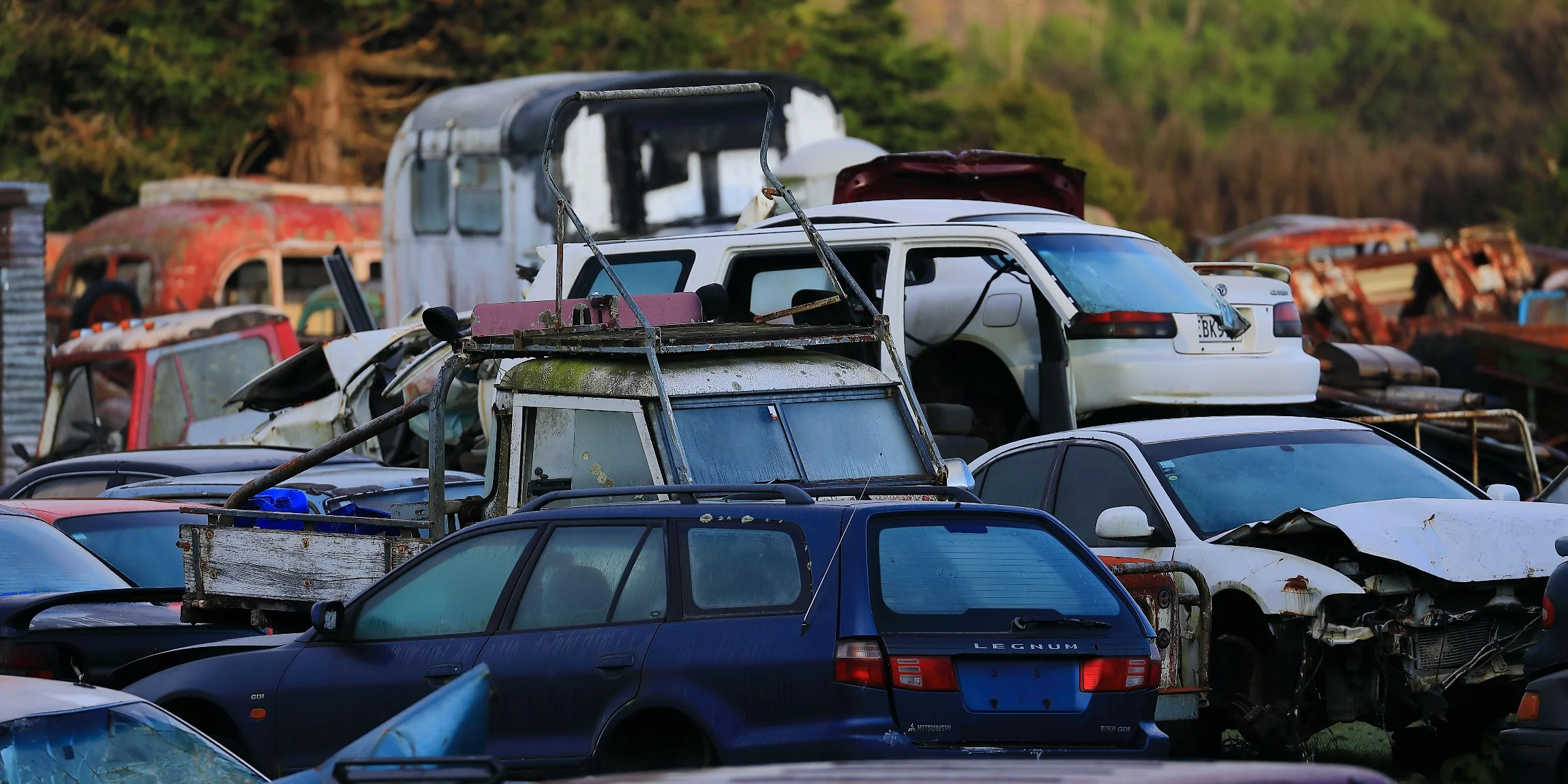 Horopito,Smash Palace,-727.JPG