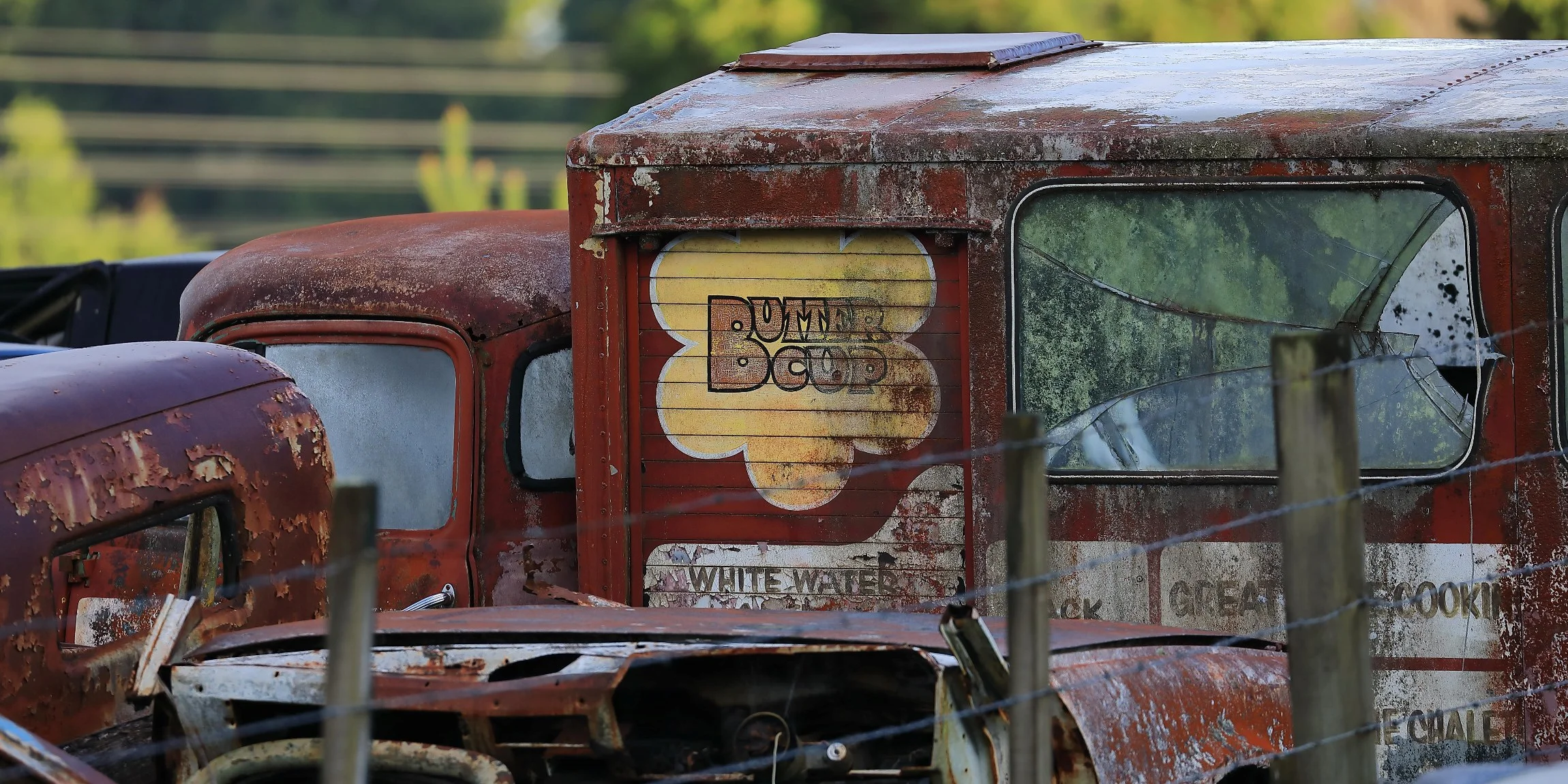 Horopito,Smash Palace,-730.JPG