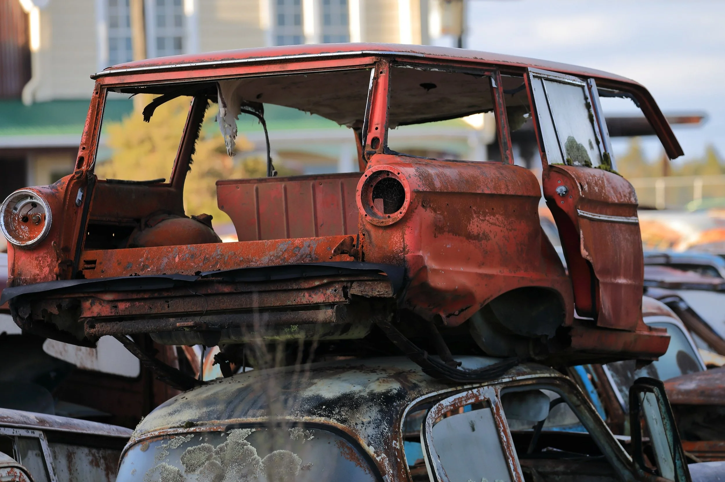 Horopito,Smash Palace,-732.JPG