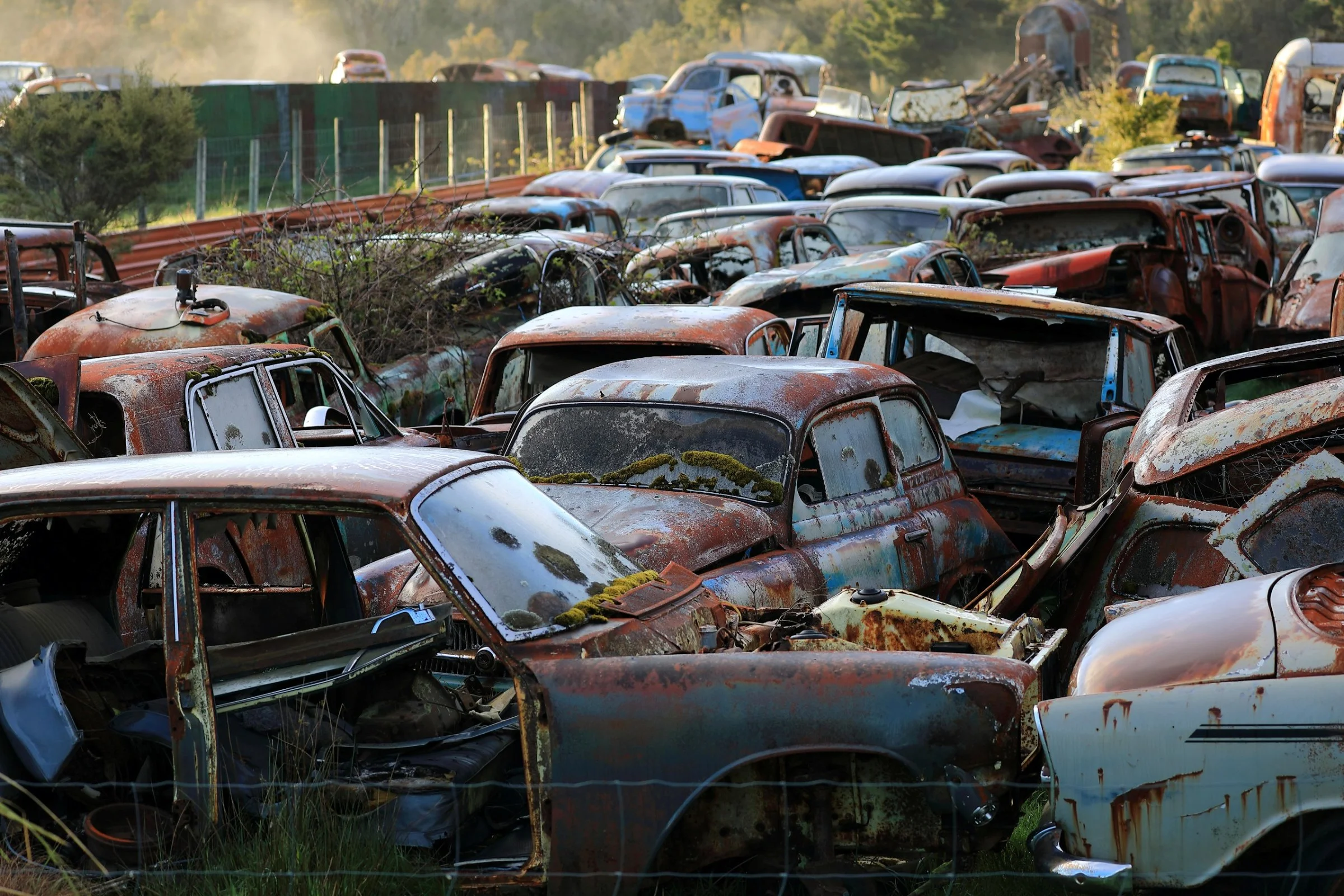 Horopito,Smash Palace,-734.JPG