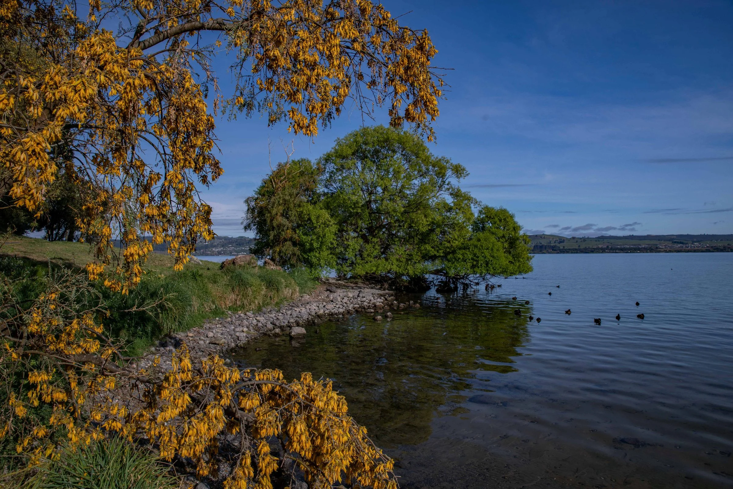 Lake Taupo,-181.JPG