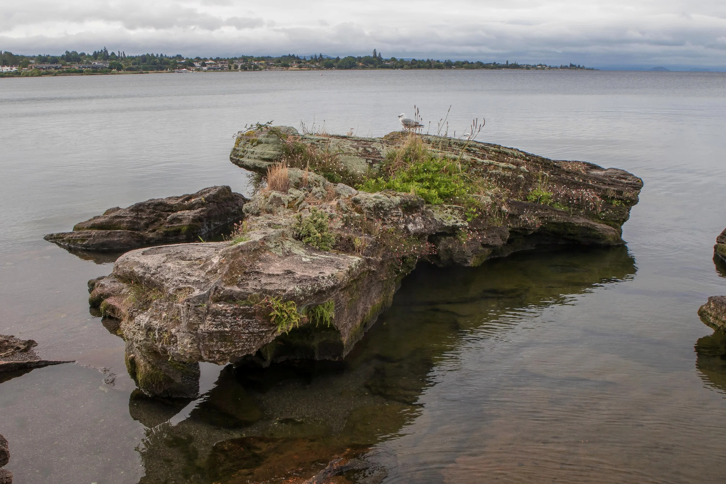 Lake Taupo,-213.JPG
