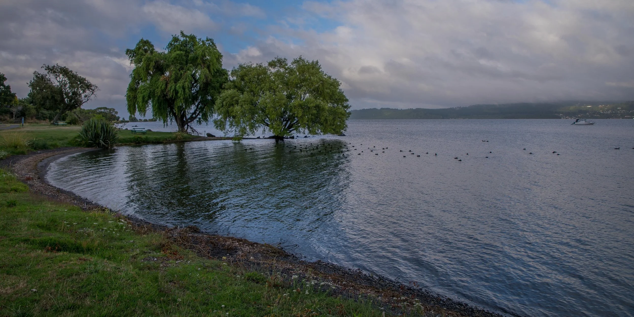 Lake Taupo,-717.JPG