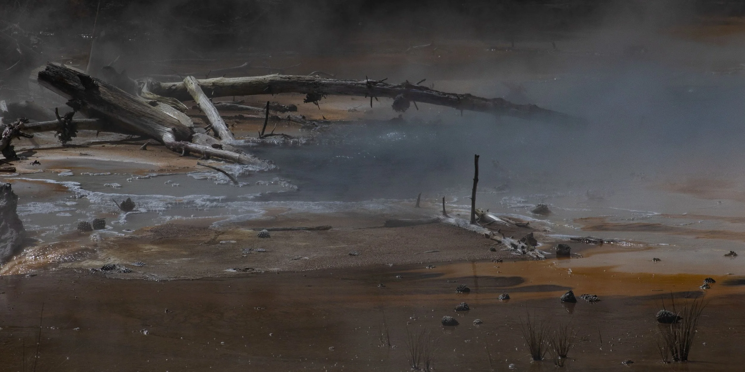 Orakei Korako,-700.JPG