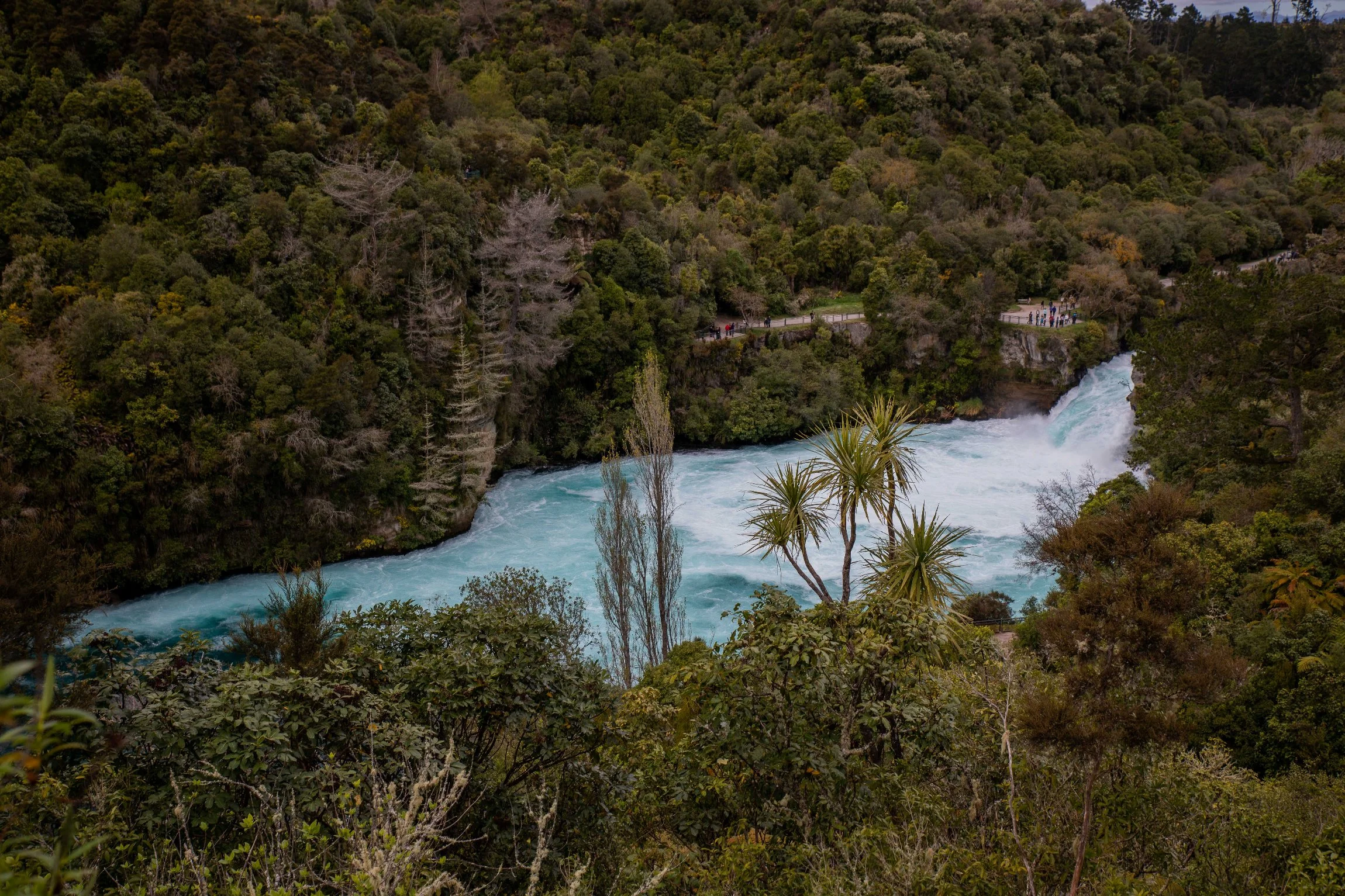 Taupo,Waikato River,Huka Falls,-097.JPG