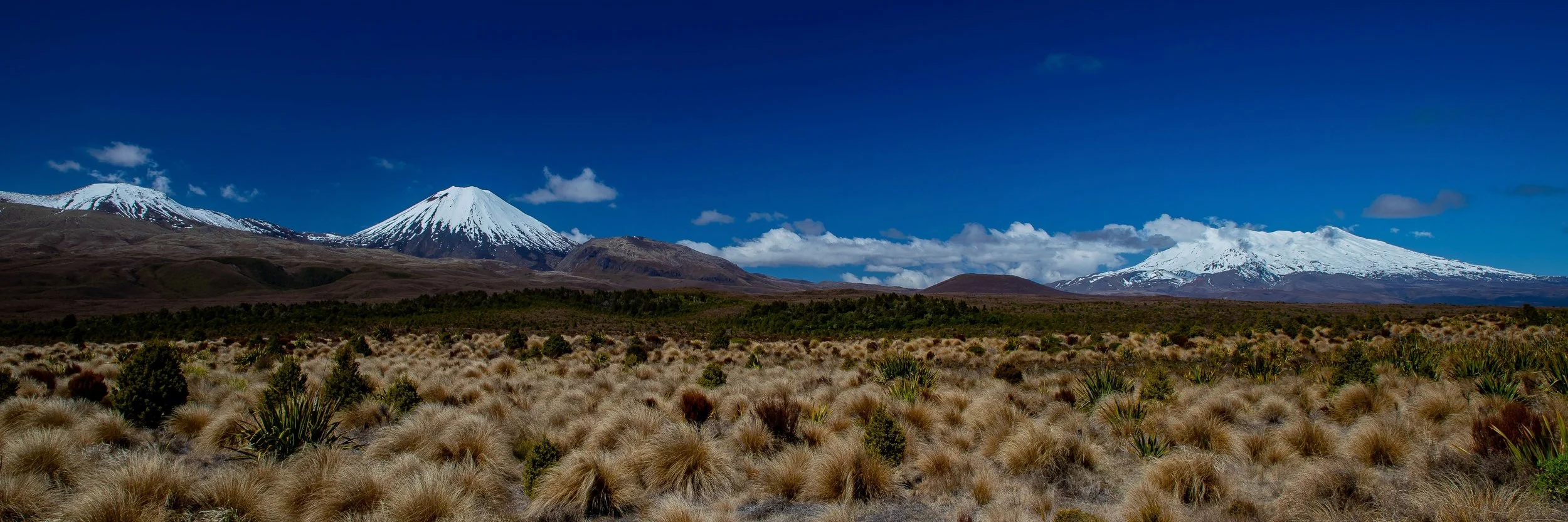 North Island Central Plateau,-012.JPG