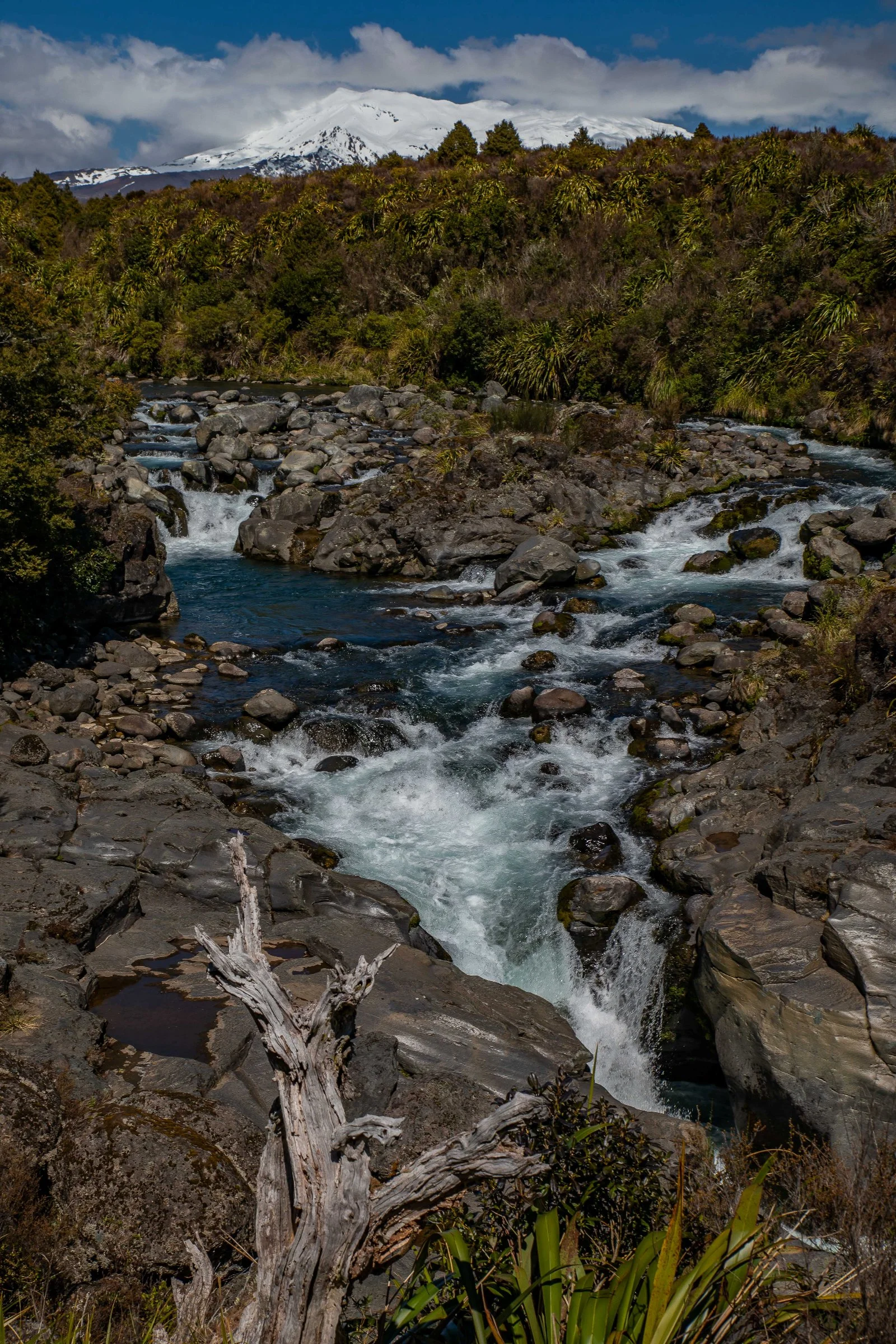 North Island Central Plateau,Whakapapanui Stream,-054.JPG
