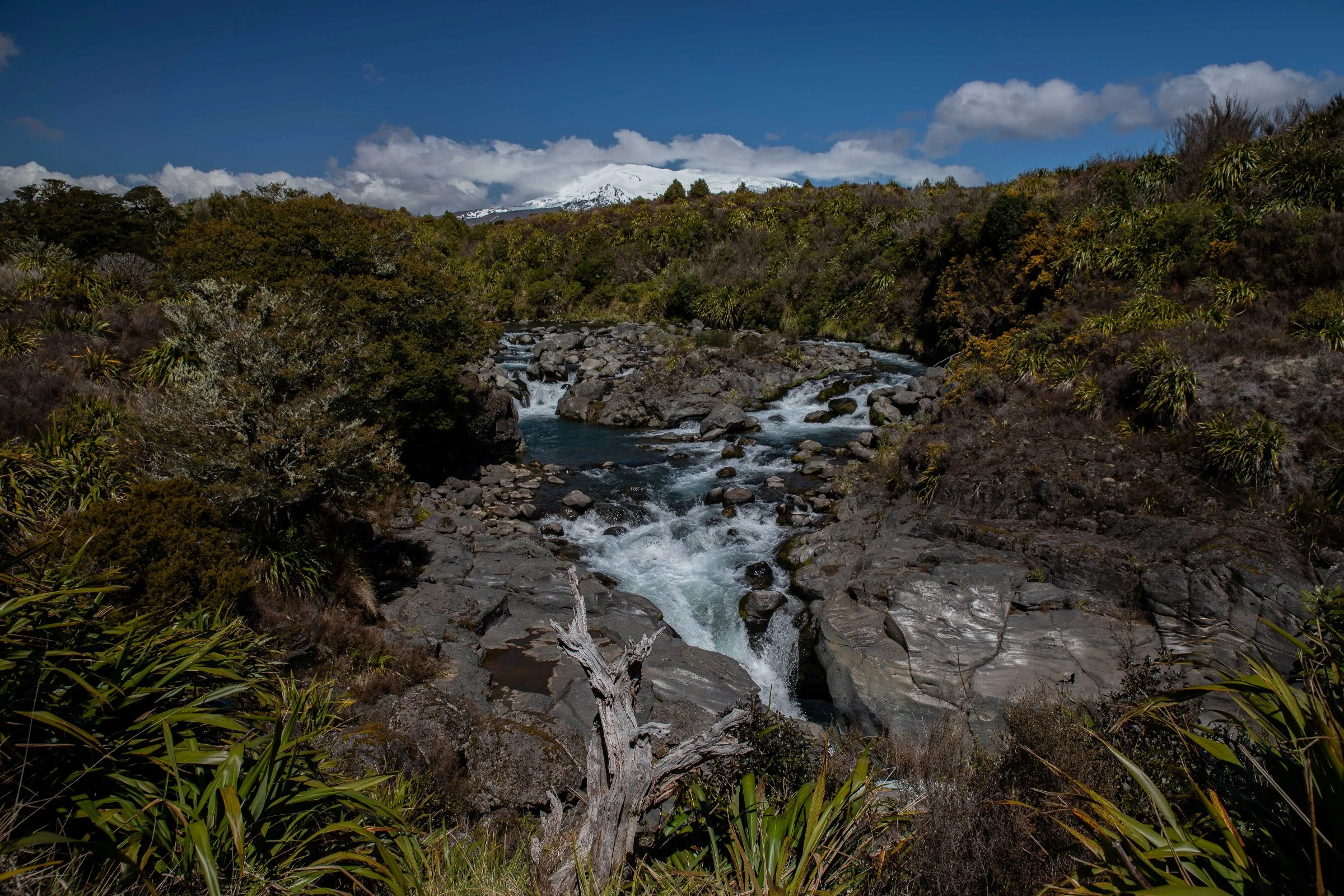 North Island Central Plateau,Whakapapanui Stream,-055.JPG
