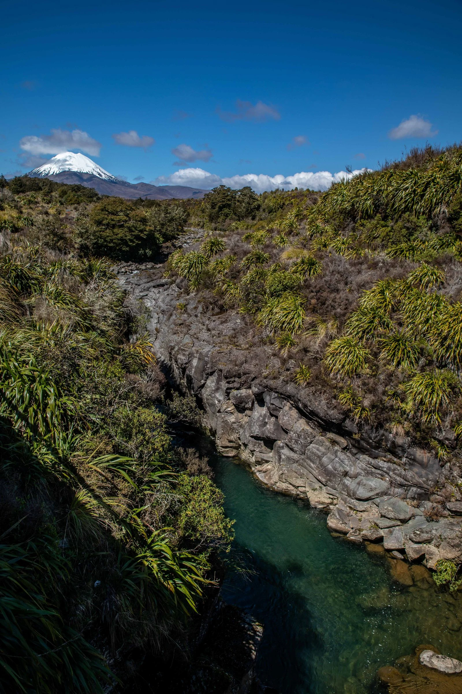 North Island Central Plateau,Whakapapanui Stream,-063.JPG