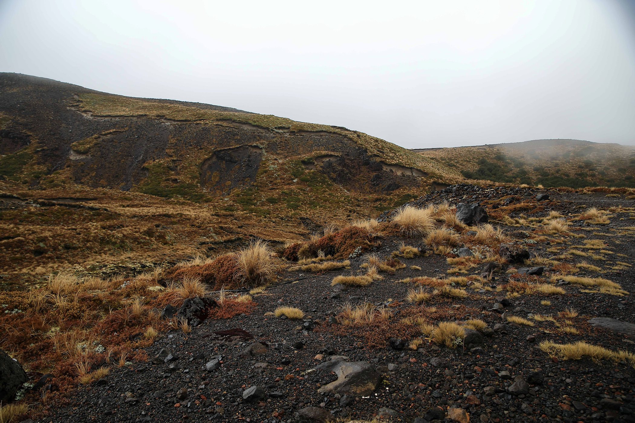 Ohakune,Mt Ruapehu,-644.JPG