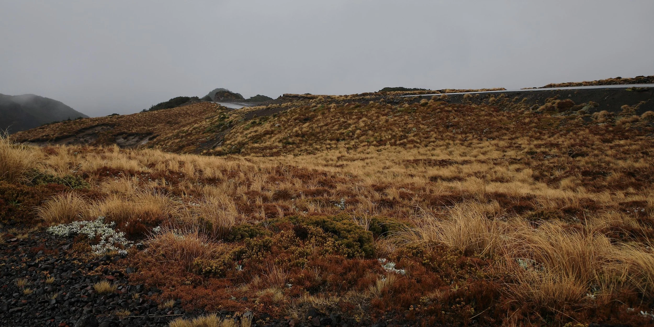 Ohakune,Mt Ruapehu,-643.JPG