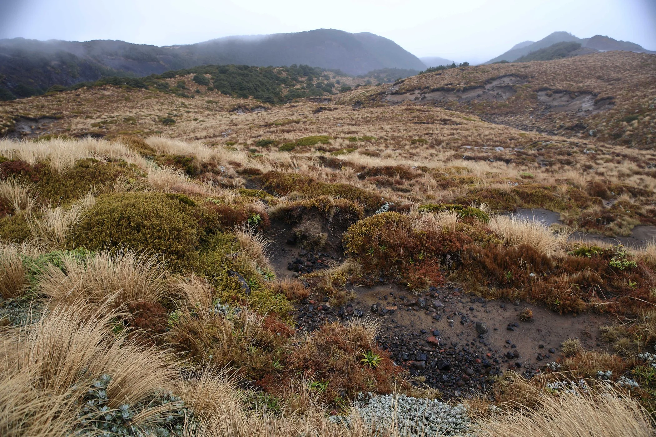 Ohakune,Mt Ruapehu,-646.JPG