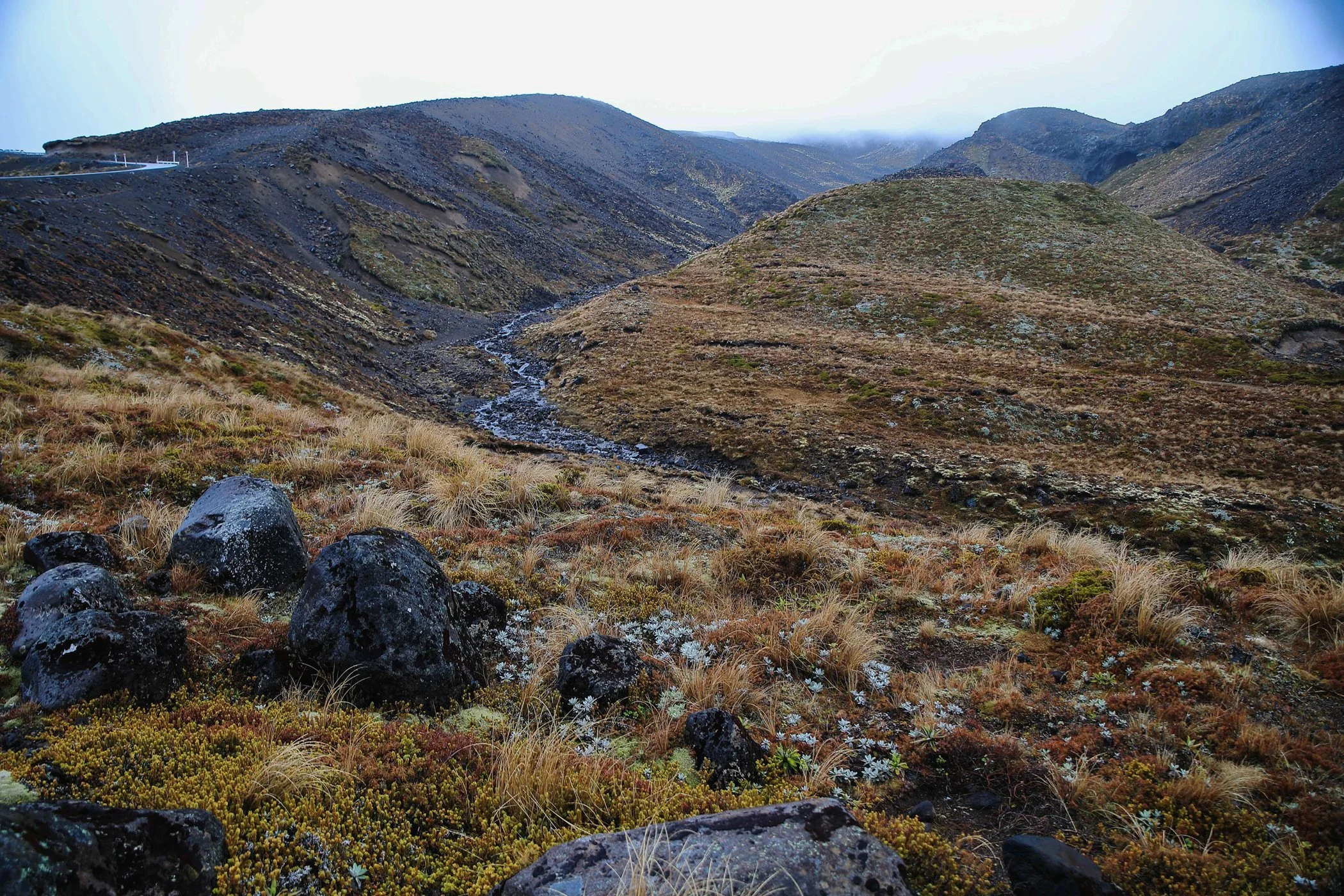 Ohakune,Mt Ruapehu,-645.JPG