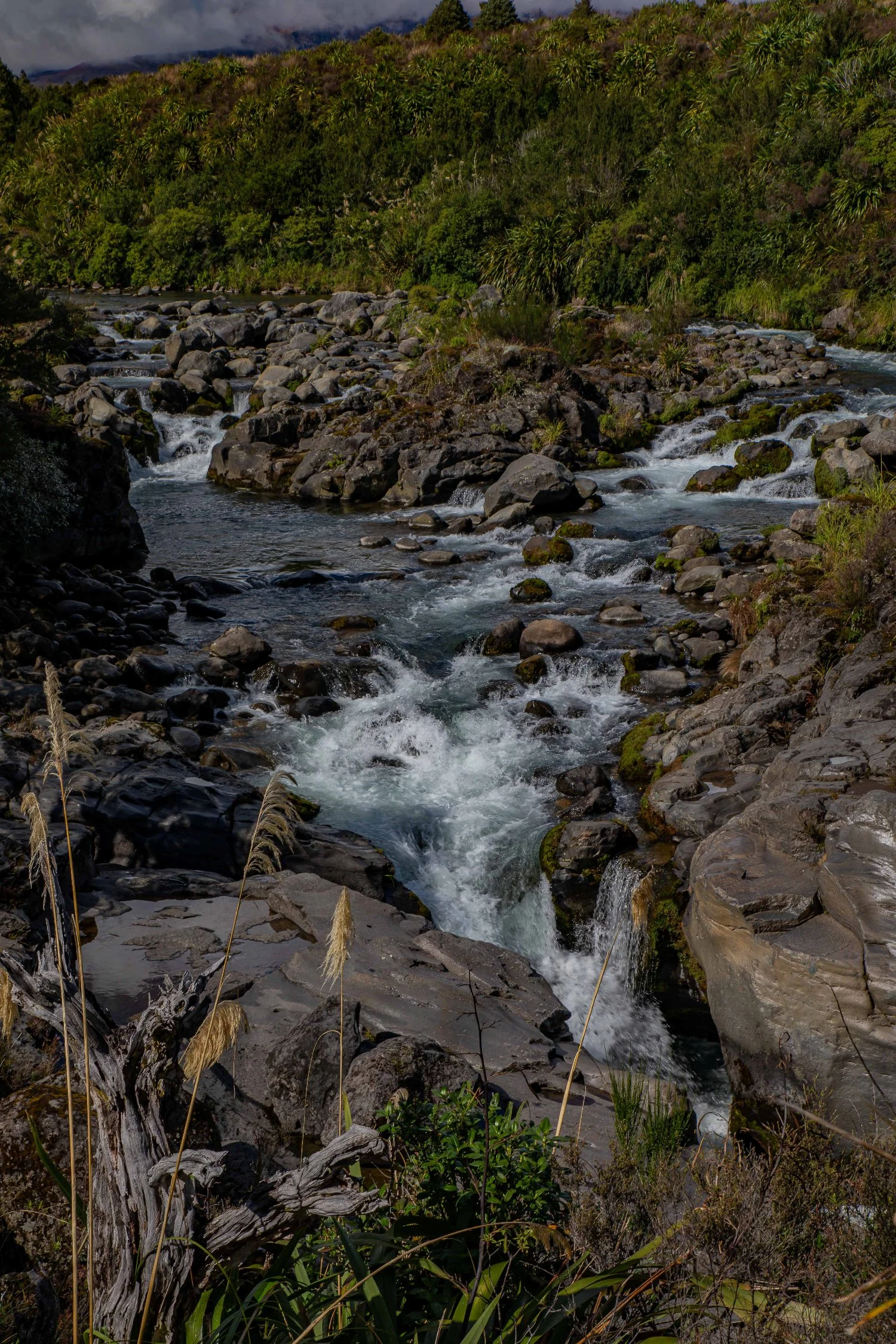 Whakapapanui River,-018.JPG