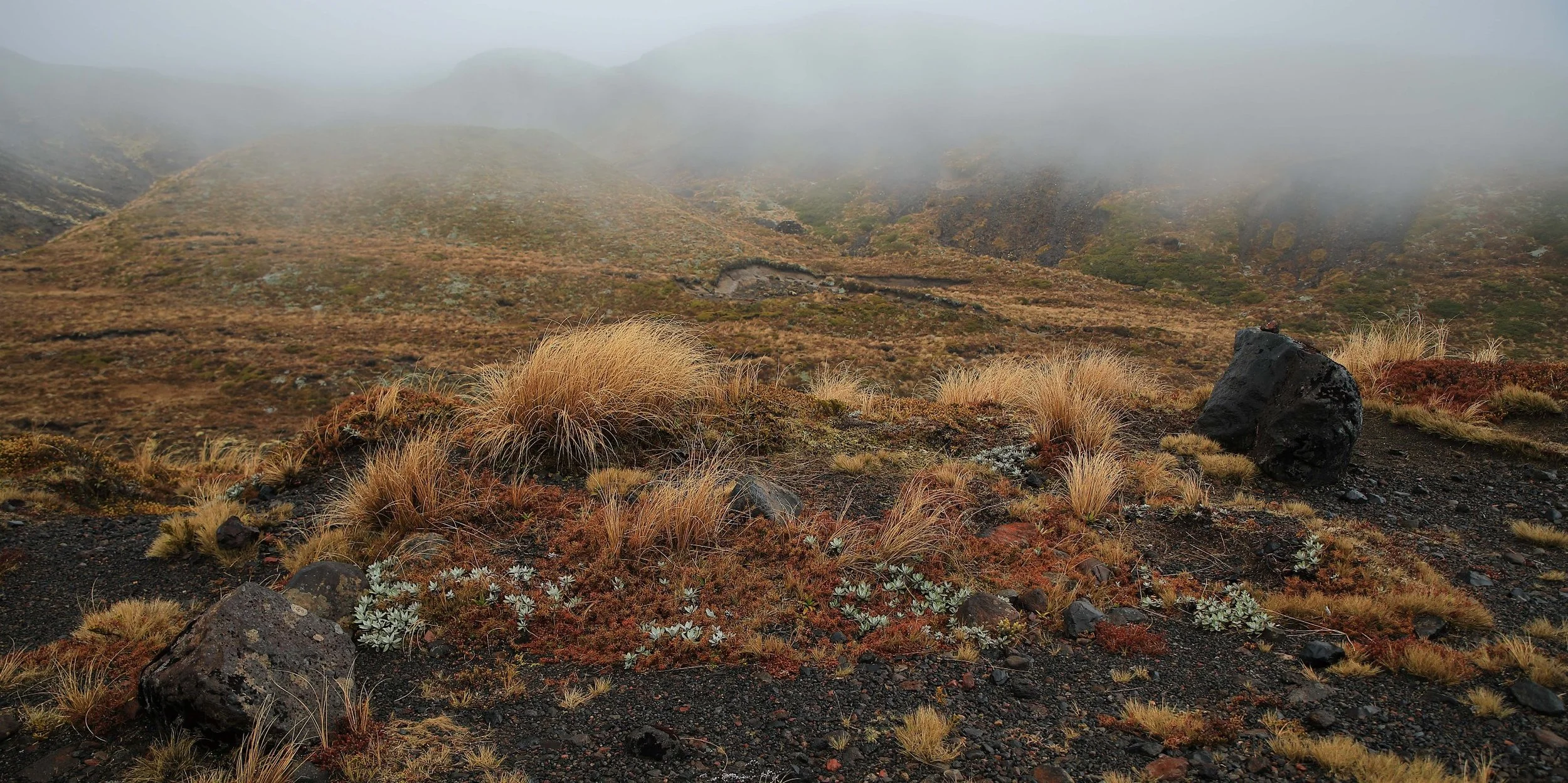 Ohakune,Mt Ruapehu,-647.JPG