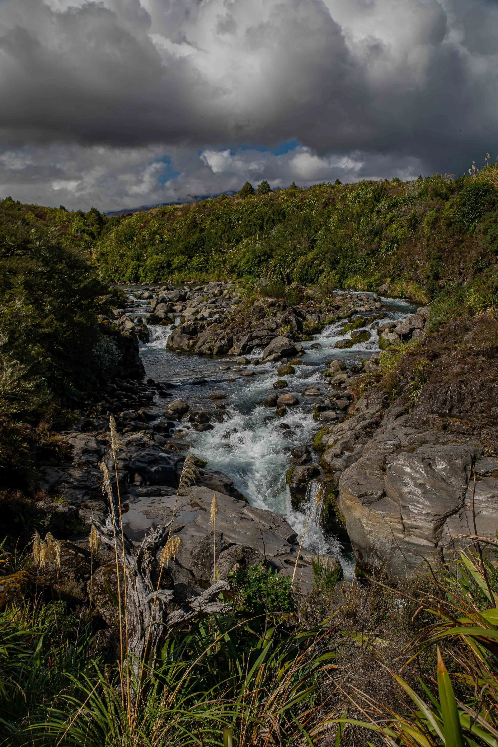 Whakapapanui River,-019.JPG