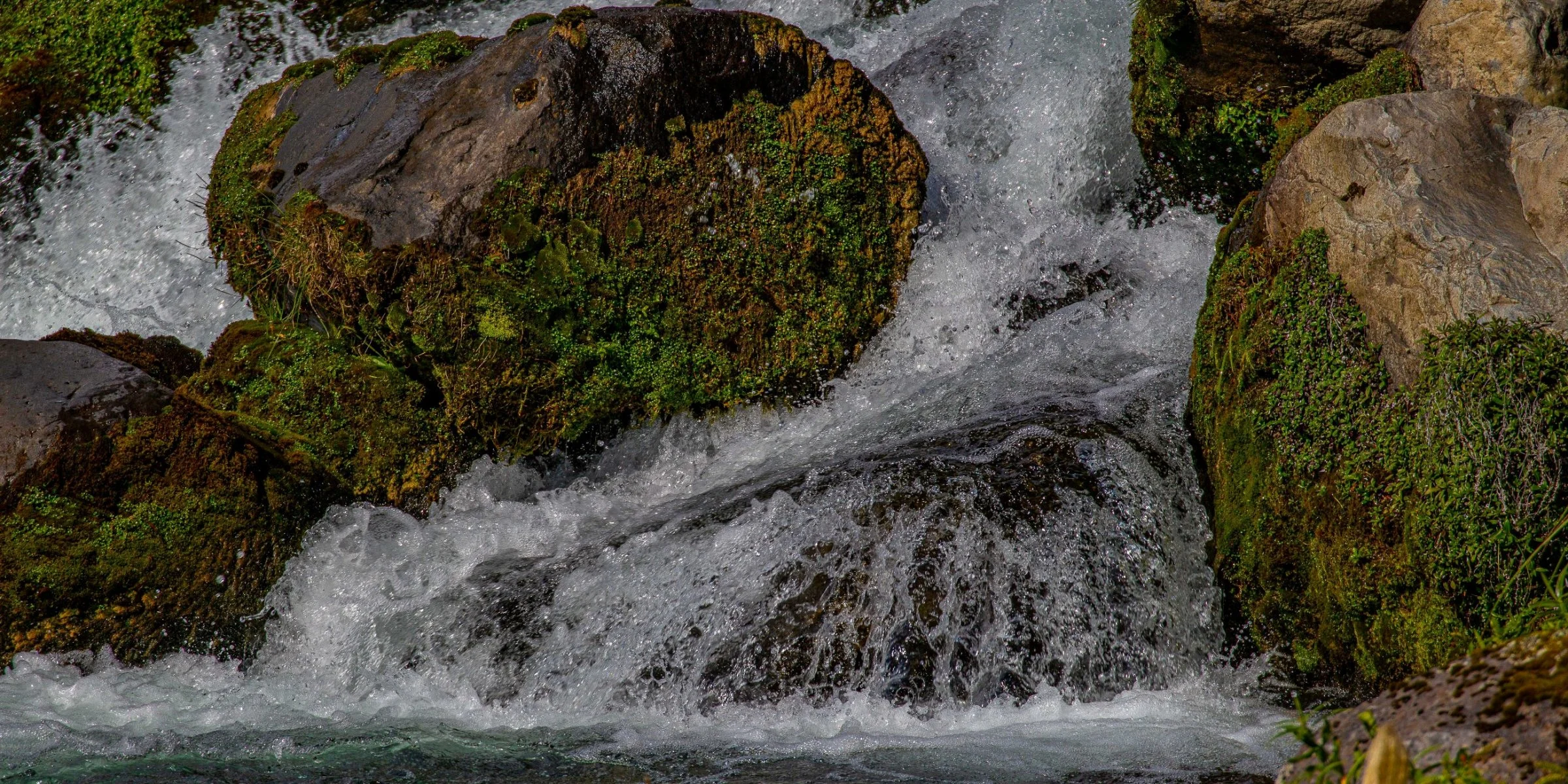 Whakapapanui River,-6901.JPG