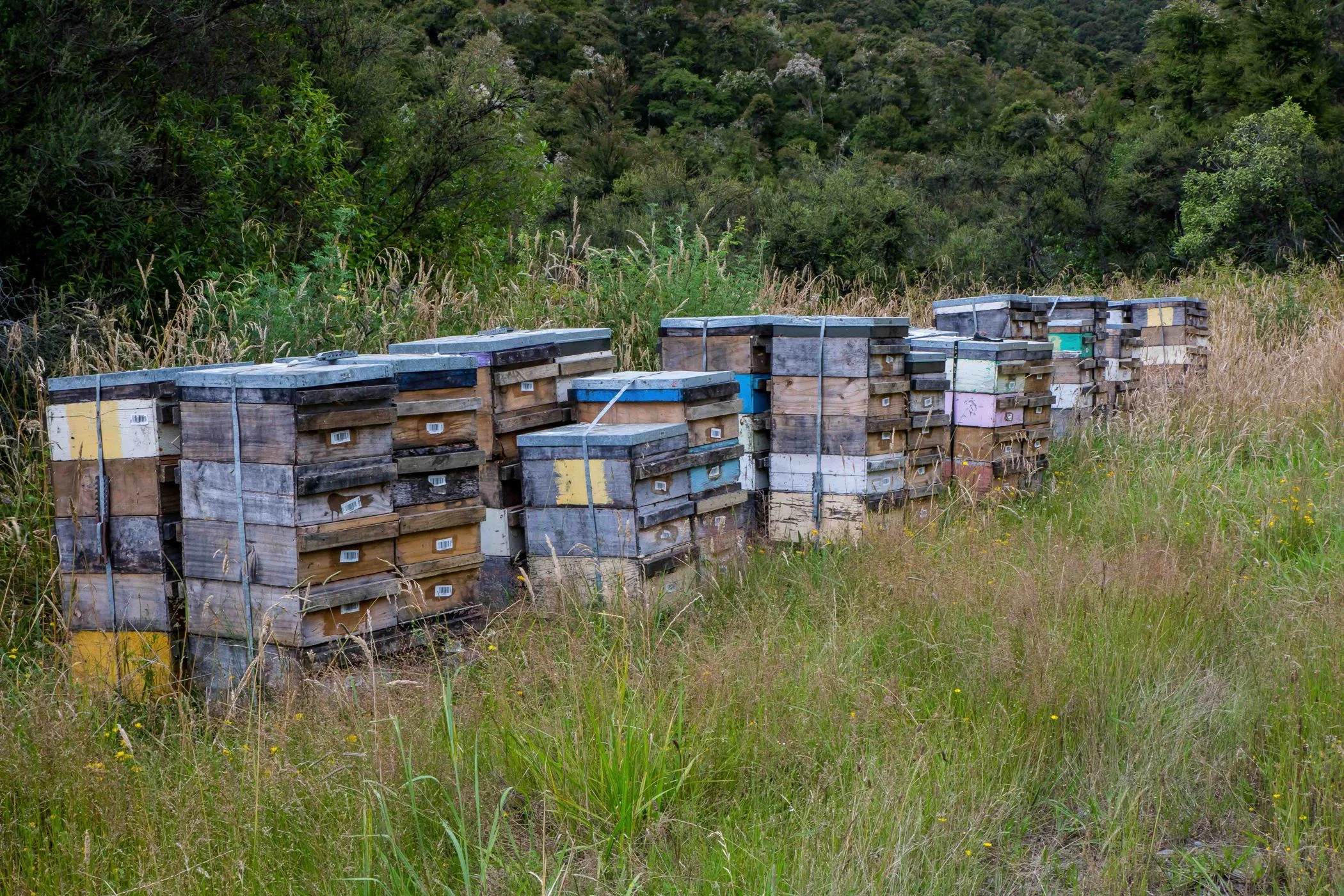 Hawke's Bay,-563.JPG