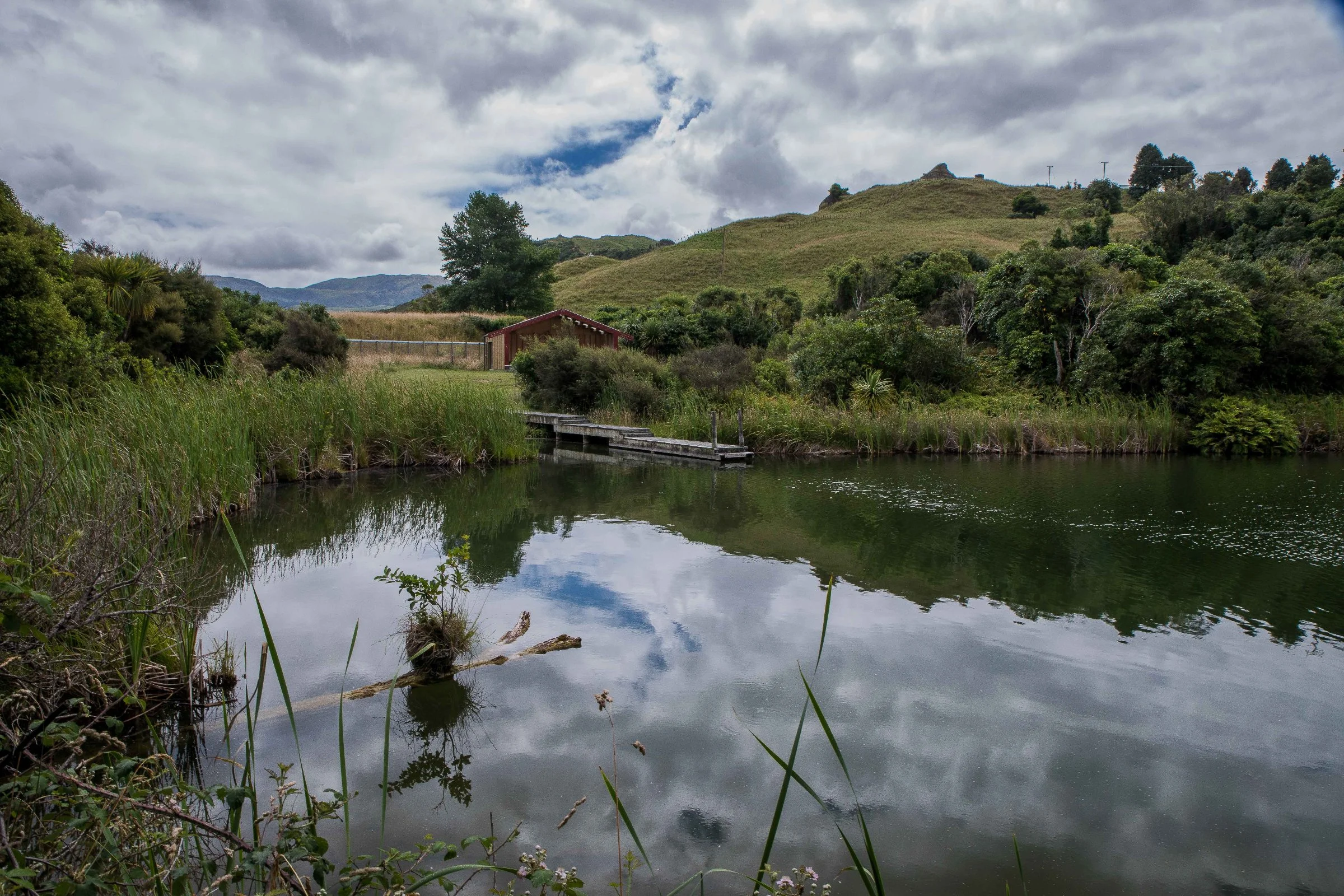 Hawke's Bay,Boundary Stream,Mainland Island Reserve,-609.JPG