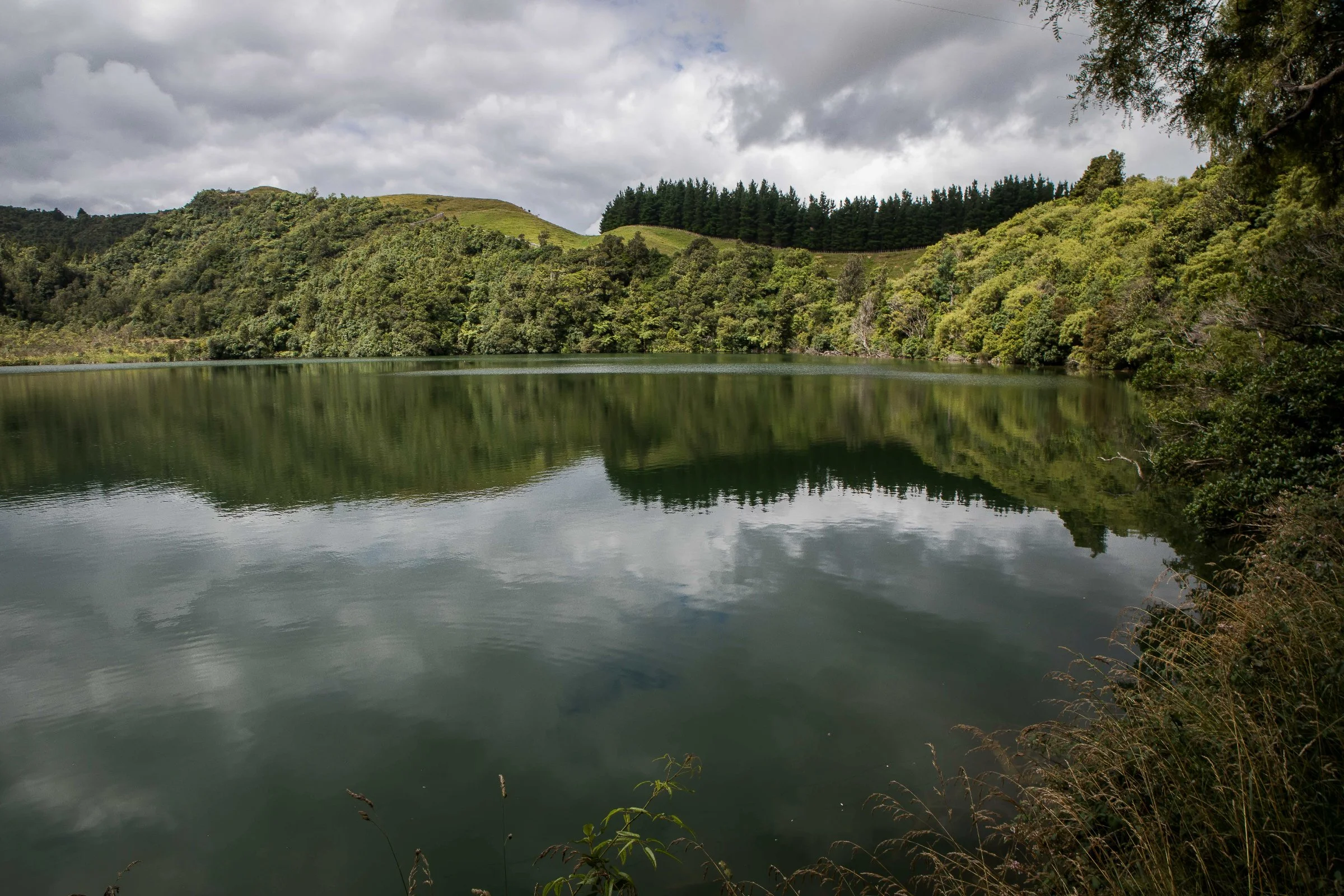 Hawke's Bay,Boundary Stream,Mainland Island Reserve,-613.JPG